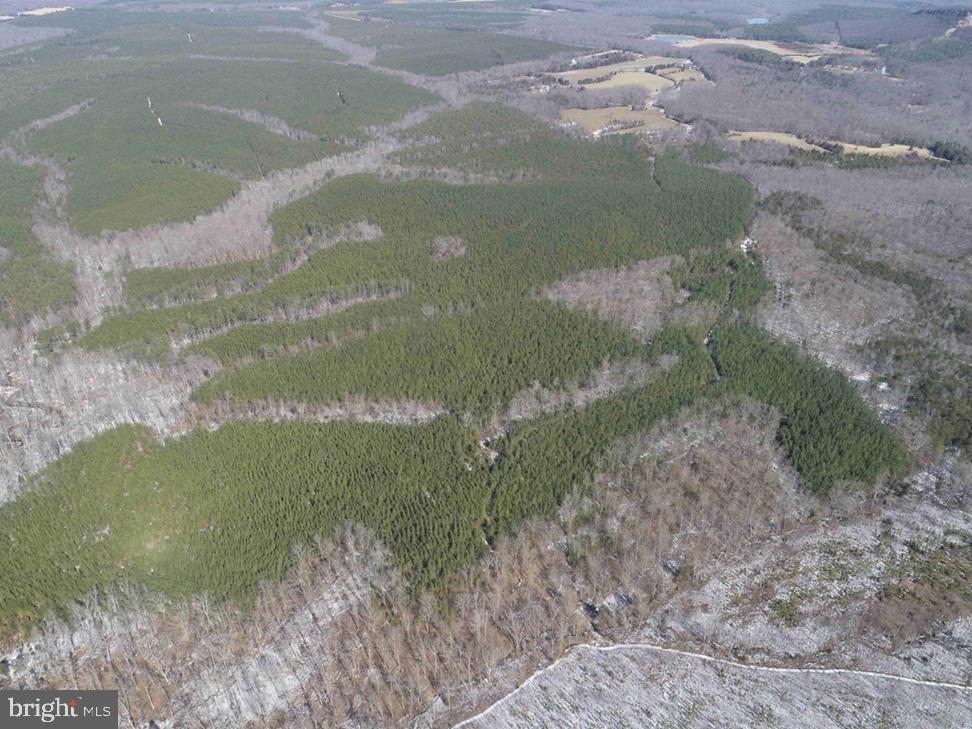 STATE HWY. 15 (TRACT: TONGUEQUARTER), DILLWYN, Virginia 23936, ,Farm,For sale,STATE HWY. 15 (TRACT: TONGUEQUARTER),VABH2000272 MLS # VABH2000272