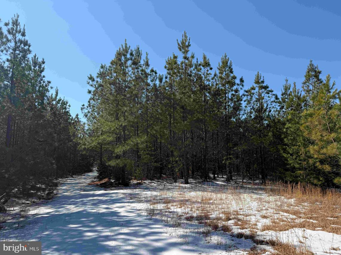 STATE HWY. 15 (TRACT: TONGUEQUARTER), DILLWYN, Virginia 23936, ,Farm,For sale,STATE HWY. 15 (TRACT: TONGUEQUARTER),VABH2000272 MLS # VABH2000272