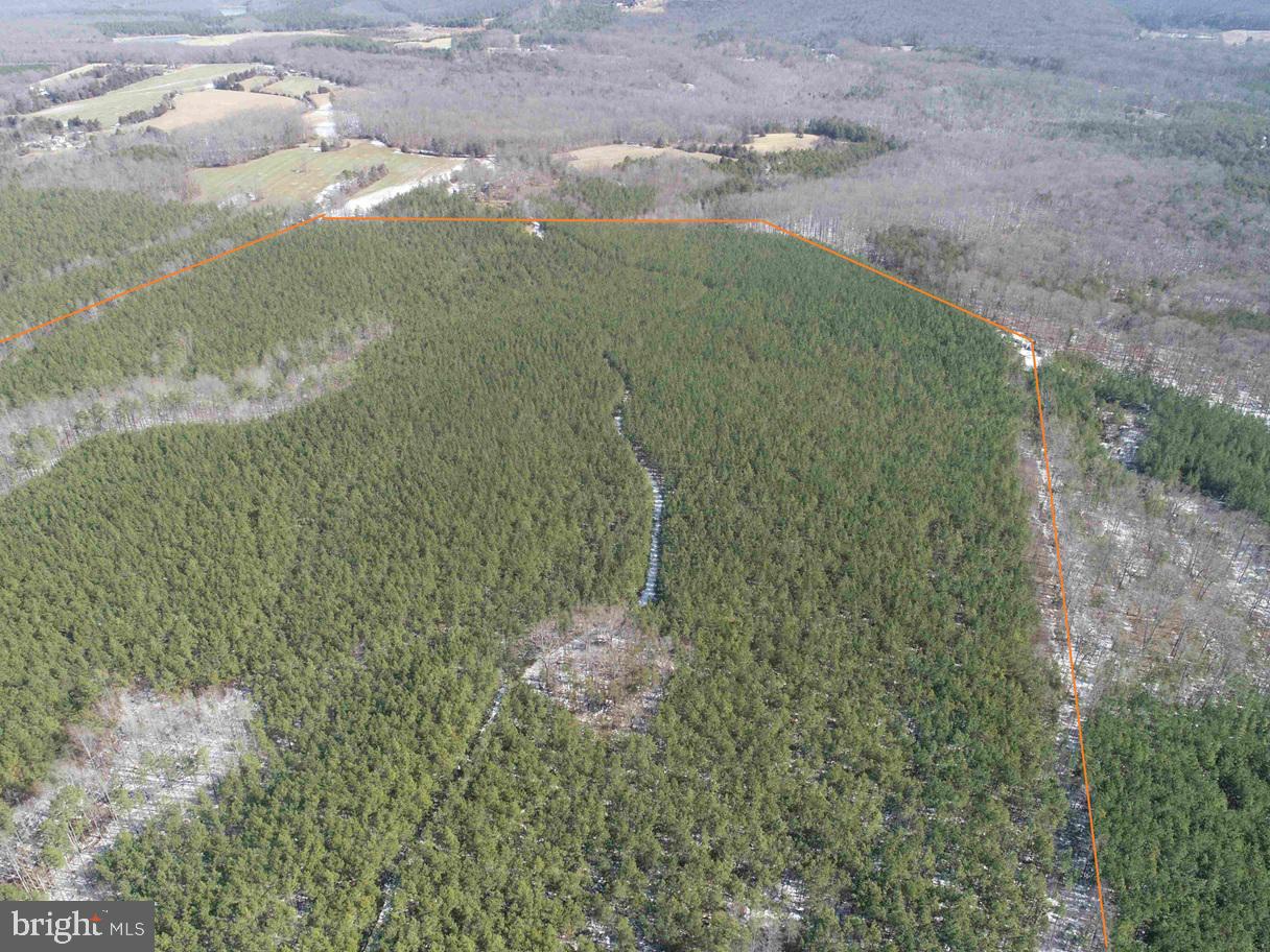 STATE HWY. 15 (TRACT: TONGUEQUARTER), DILLWYN, Virginia 23936, ,Farm,For sale,STATE HWY. 15 (TRACT: TONGUEQUARTER),VABH2000272 MLS # VABH2000272