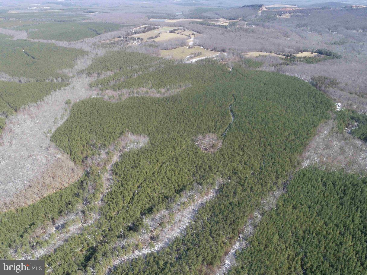 STATE HWY. 15 (TRACT: TONGUEQUARTER), DILLWYN, Virginia 23936, ,Farm,For sale,STATE HWY. 15 (TRACT: TONGUEQUARTER),VABH2000272 MLS # VABH2000272