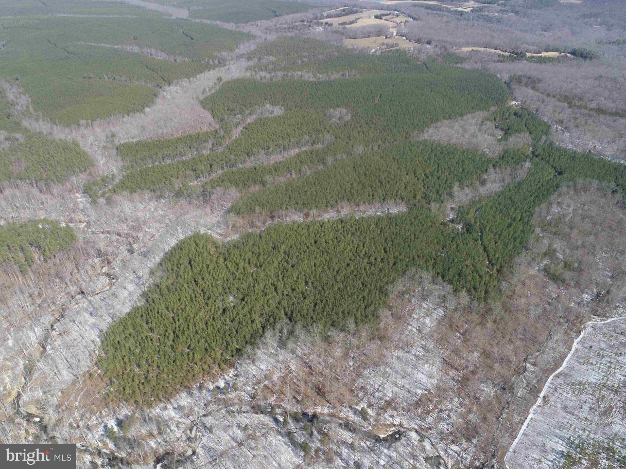 STATE HWY. 15 (TRACT: TONGUEQUARTER), DILLWYN, Virginia 23936, ,Farm,For sale,STATE HWY. 15 (TRACT: TONGUEQUARTER),VABH2000272 MLS # VABH2000272