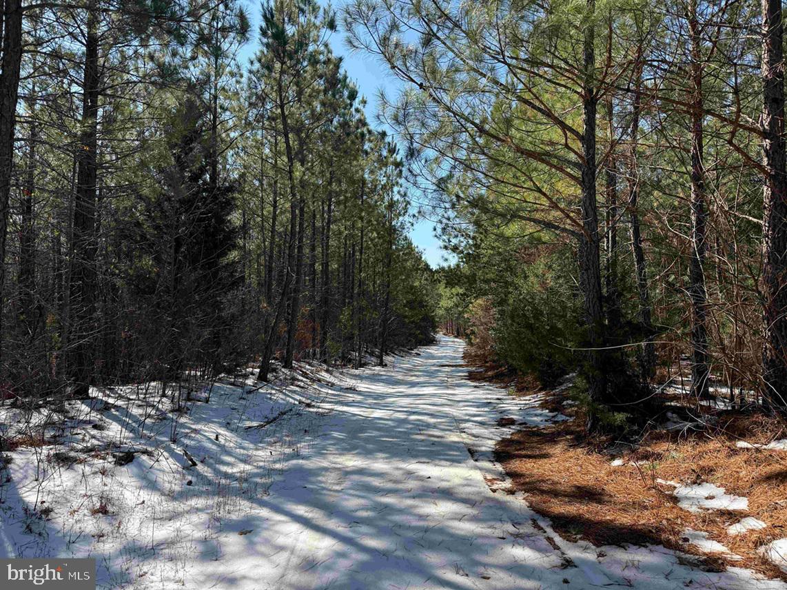 STATE HWY. 15 (TRACT: TONGUEQUARTER), DILLWYN, Virginia 23936, ,Farm,For sale,STATE HWY. 15 (TRACT: TONGUEQUARTER),VABH2000272 MLS # VABH2000272