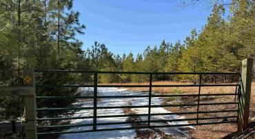 STATE HWY. 15 (TRACT: TONGUEQUARTER), DILLWYN, Virginia 23936, ,Farm,For sale,STATE HWY. 15 (TRACT: TONGUEQUARTER),VABH2000272 MLS # VABH2000272