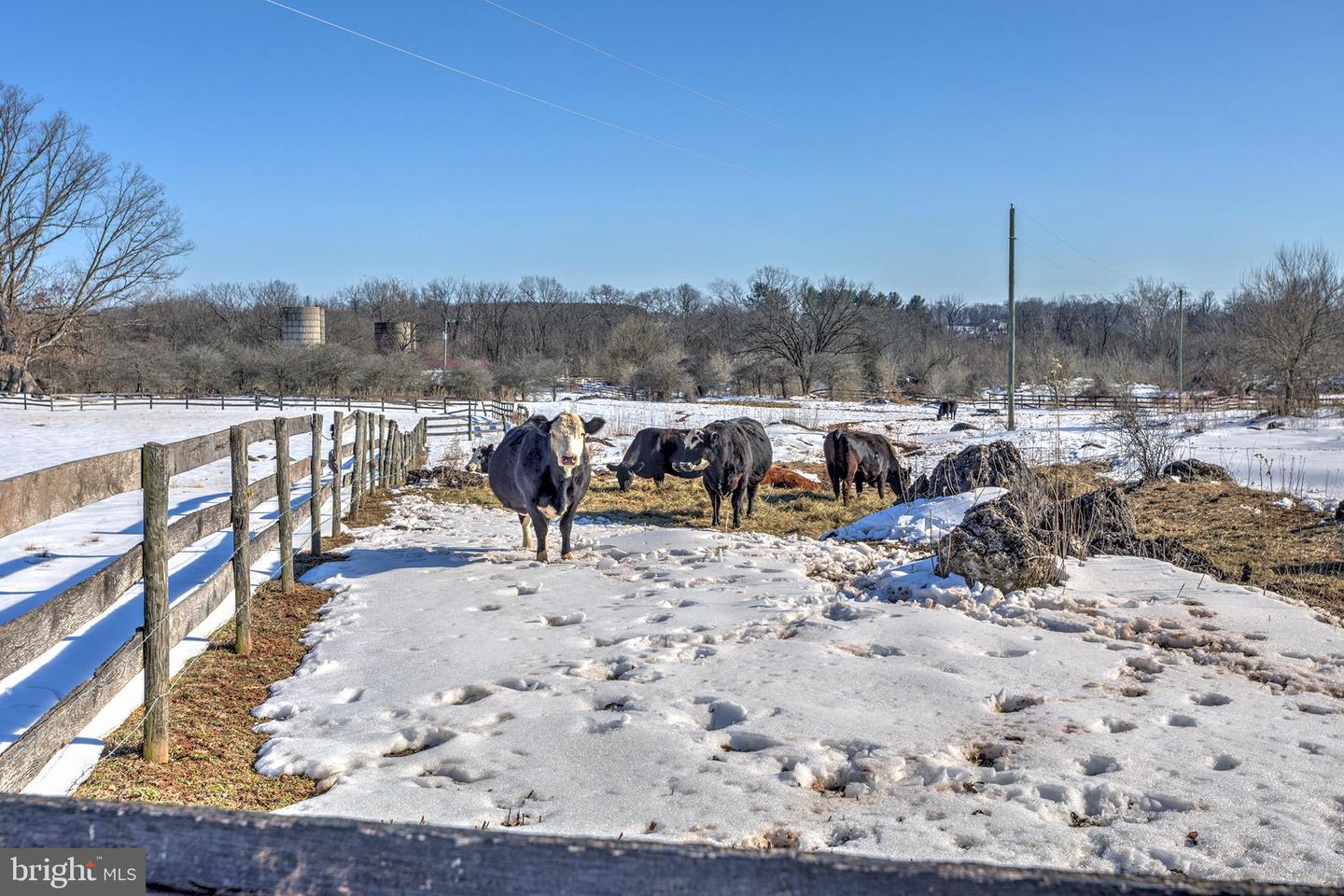42618 ST CLAIR LN, LEESBURG, Virginia 20176, 4 Bedrooms Bedrooms, ,3 BathroomsBathrooms,Residential,For sale,42618 ST CLAIR LN,VALO2115776 MLS # VALO2115776 42618 ST CLAIR LN, LEESBURG, Virginia 20176, 4 Bedrooms Bedrooms, ,3 BathroomsBathrooms,Residential,For sale,42618 ST CLAIR LN,VALO2115776 MLS # VALO2115776