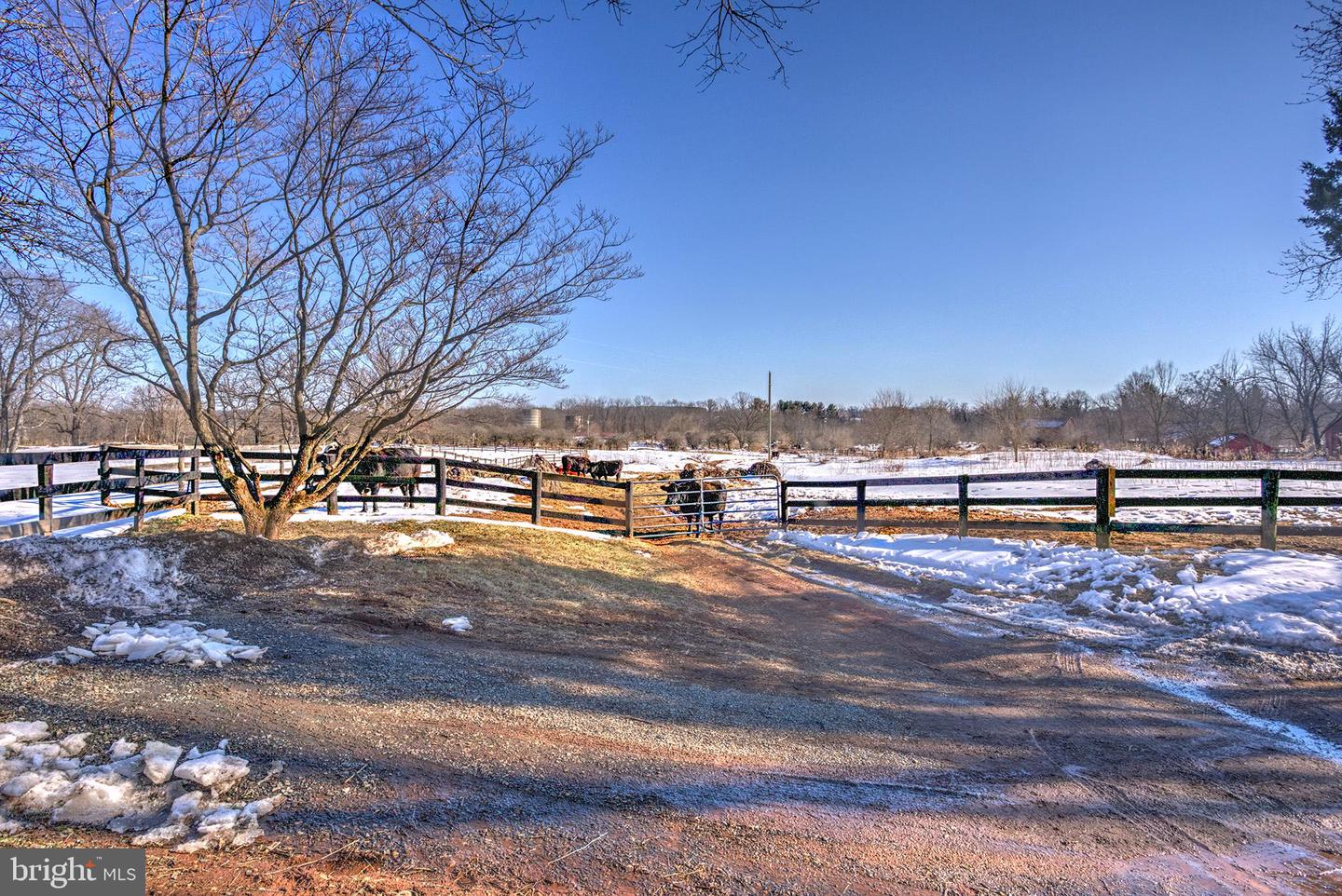 42618 ST CLAIR LN, LEESBURG, Virginia 20176, 4 Bedrooms Bedrooms, ,3 BathroomsBathrooms,Residential,For sale,42618 ST CLAIR LN,VALO2115776 MLS # VALO2115776 42618 ST CLAIR LN, LEESBURG, Virginia 20176, 4 Bedrooms Bedrooms, ,3 BathroomsBathrooms,Residential,For sale,42618 ST CLAIR LN,VALO2115776 MLS # VALO2115776