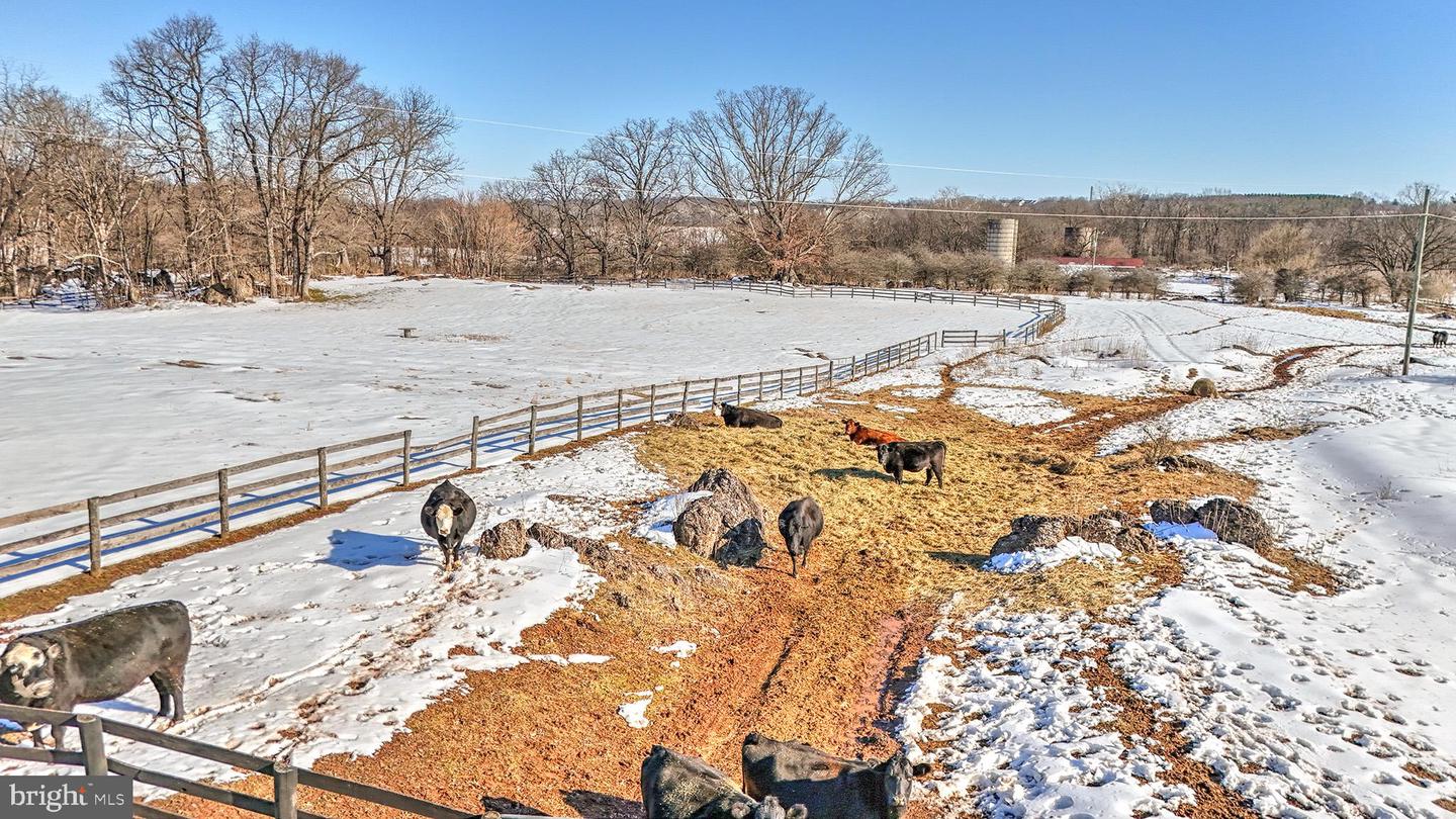 42618 ST CLAIR LN, LEESBURG, Virginia 20176, 4 Bedrooms Bedrooms, ,3 BathroomsBathrooms,Residential,For sale,42618 ST CLAIR LN,VALO2115776 MLS # VALO2115776 42618 ST CLAIR LN, LEESBURG, Virginia 20176, 4 Bedrooms Bedrooms, ,3 BathroomsBathrooms,Residential,For sale,42618 ST CLAIR LN,VALO2115776 MLS # VALO2115776