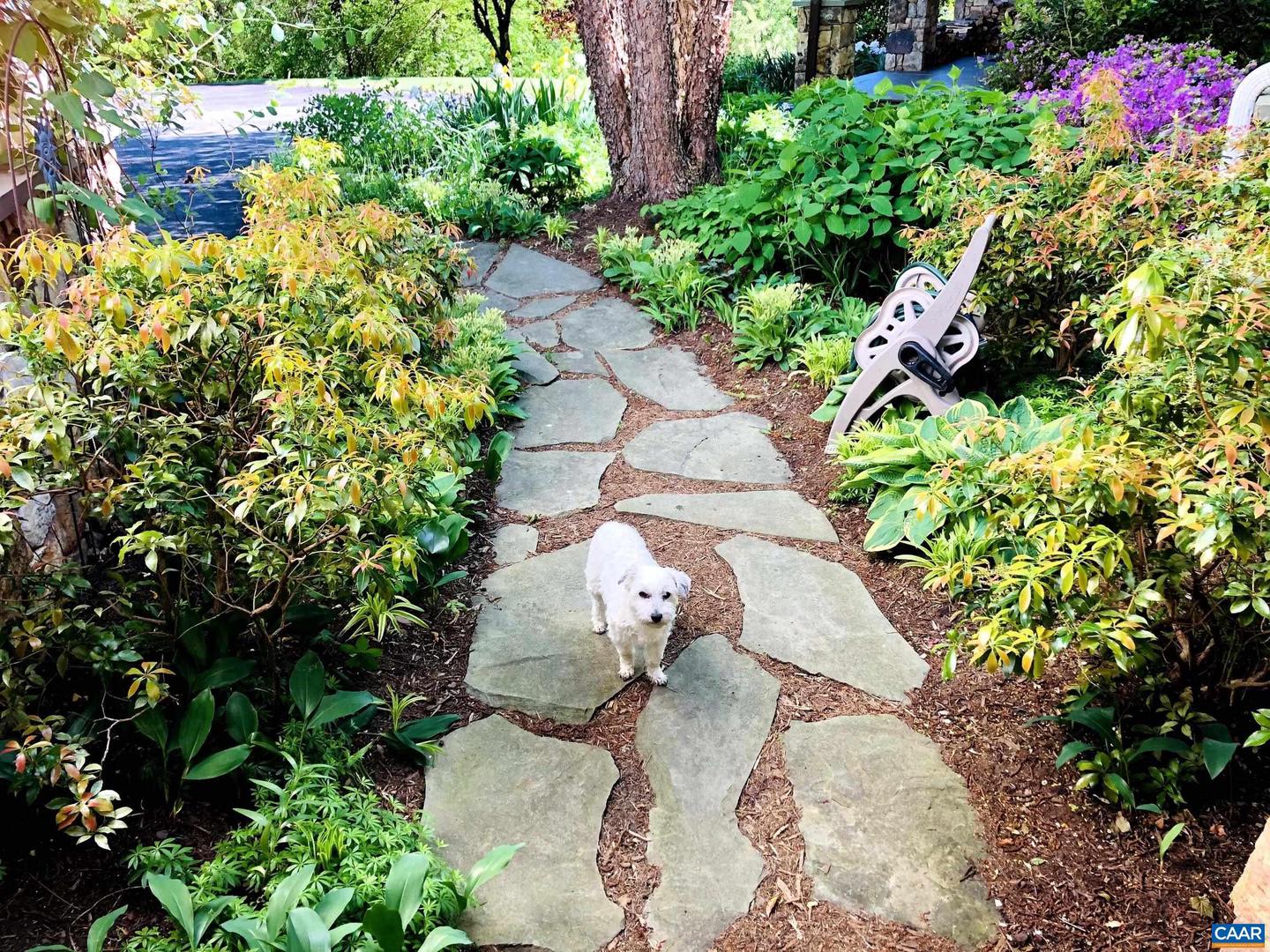 3135 ROCKS FARM CT, CHARLOTTESVILLE, Virginia 22903, 5 Bedrooms Bedrooms, ,4 BathroomsBathrooms,Residential,For sale,3135 ROCKS FARM CT,673280 MLS # 673280