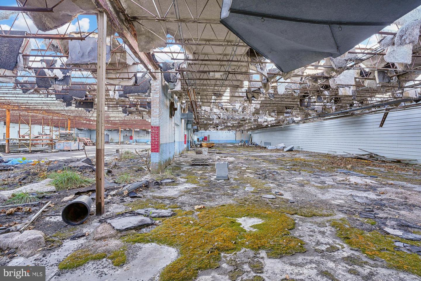 113 AILEEN RD #B, FLINT HILL, Virginia 22627, ,Land,For sale,113 AILEEN RD #B,VARP2002486 MLS # VARP2002486