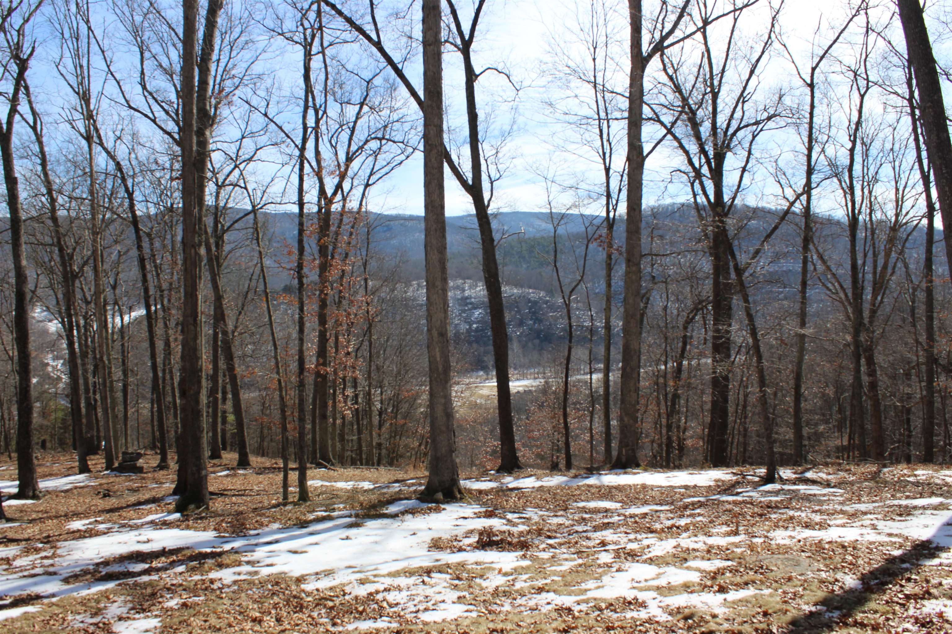 TBD DOGWOOD DR, MONTEREY, Virginia 24465, ,Land,Lot 36 High Valley,TBD DOGWOOD DR,673295 MLS # 673295