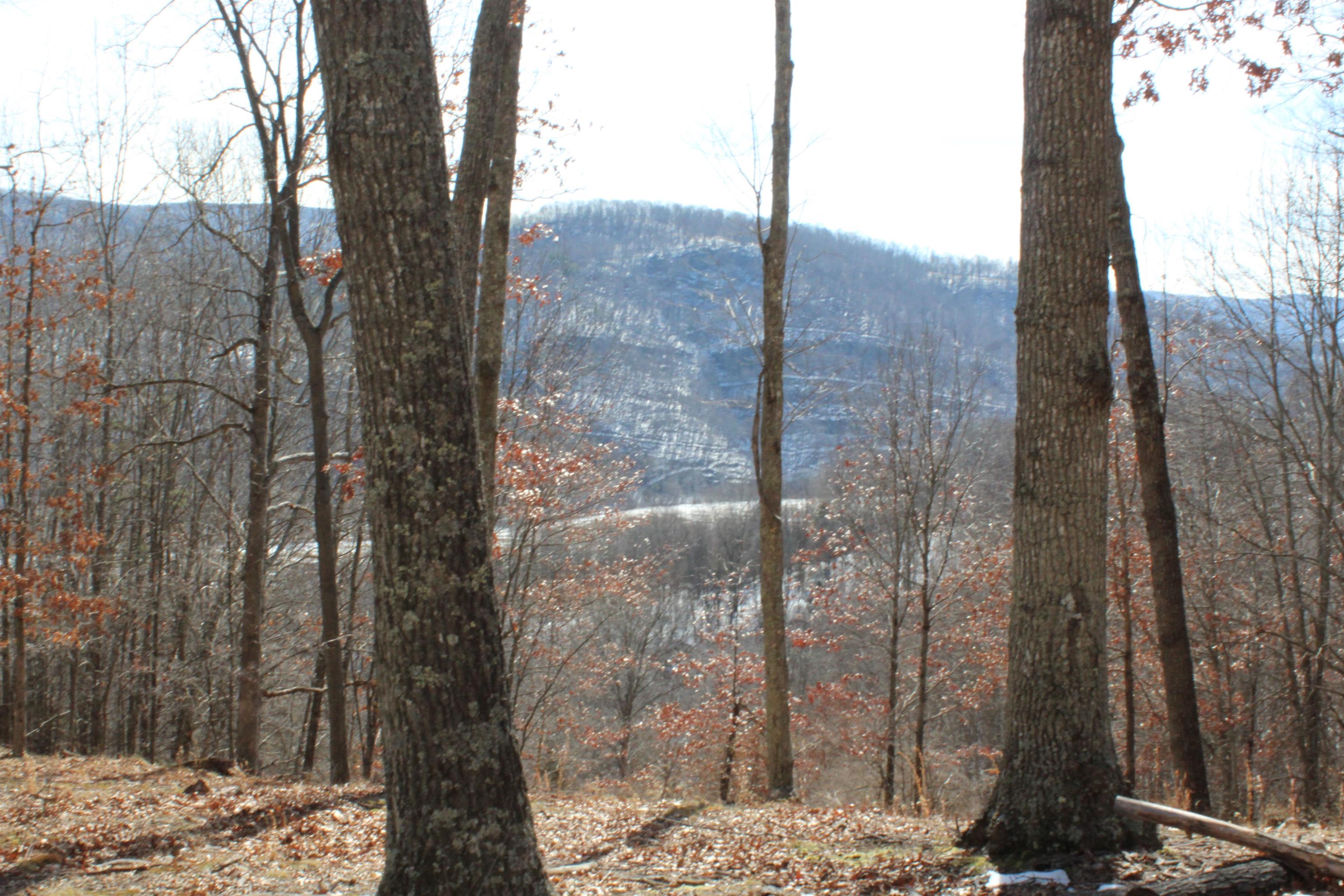 TBD DOGWOOD DR, MONTEREY, Virginia 24465, ,Land,Lot 36 High Valley,TBD DOGWOOD DR,673295 MLS # 673295