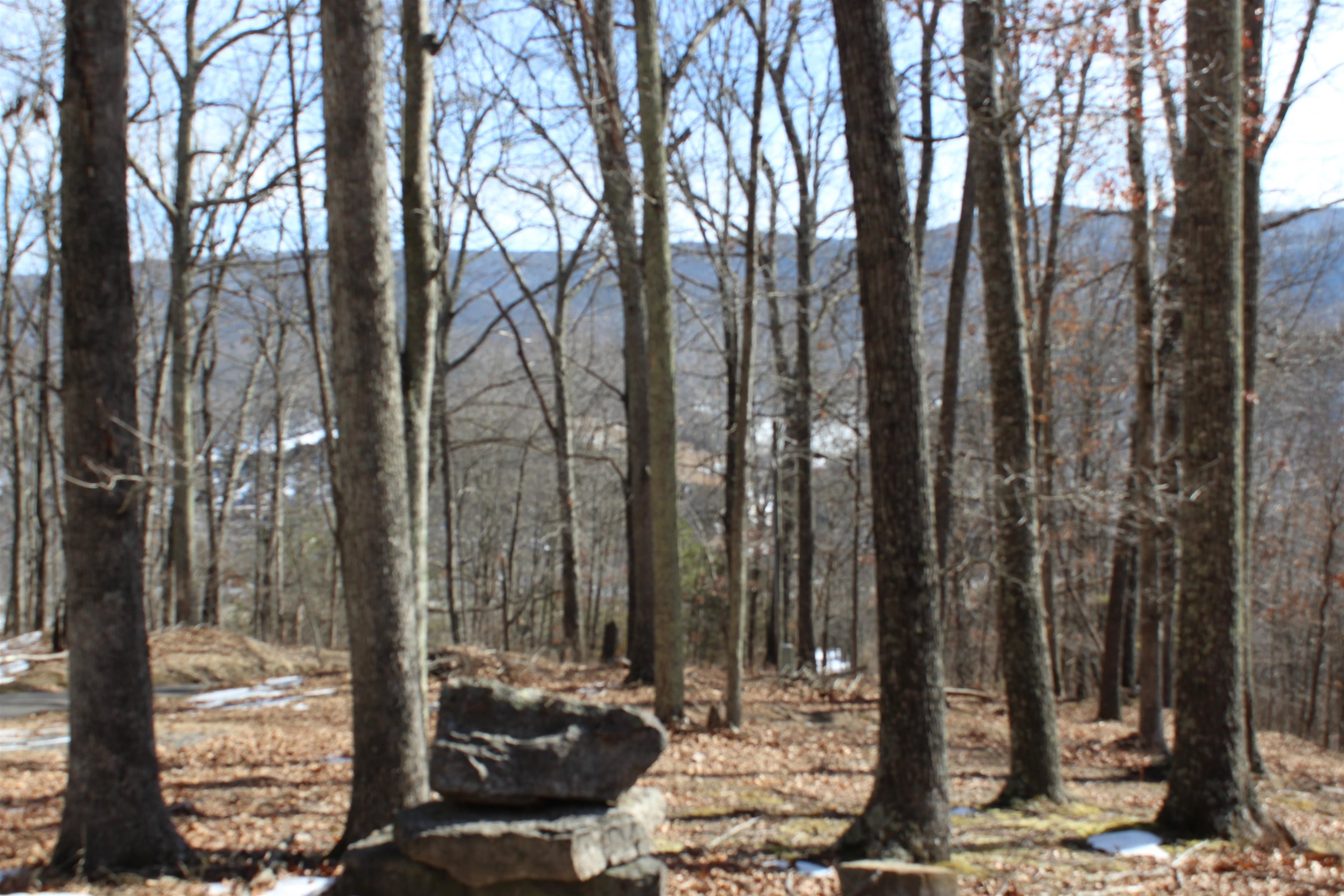 TBD DOGWOOD DR, MONTEREY, Virginia 24465, ,Land,Lot 36 High Valley,TBD DOGWOOD DR,673295 MLS # 673295