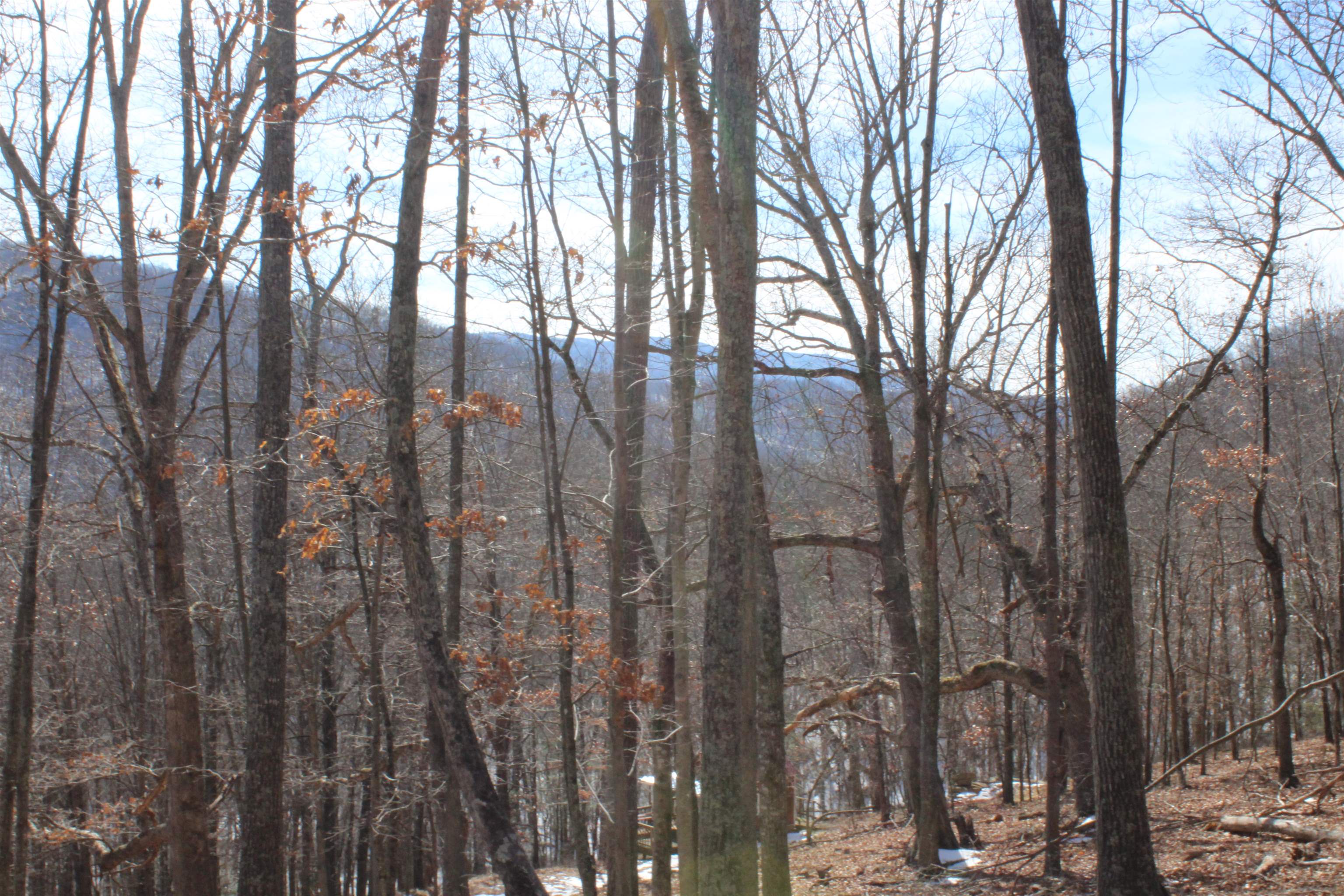 TBD DOGWOOD DR, MONTEREY, Virginia 24465, ,Land,Lot 36 High Valley,TBD DOGWOOD DR,673295 MLS # 673295