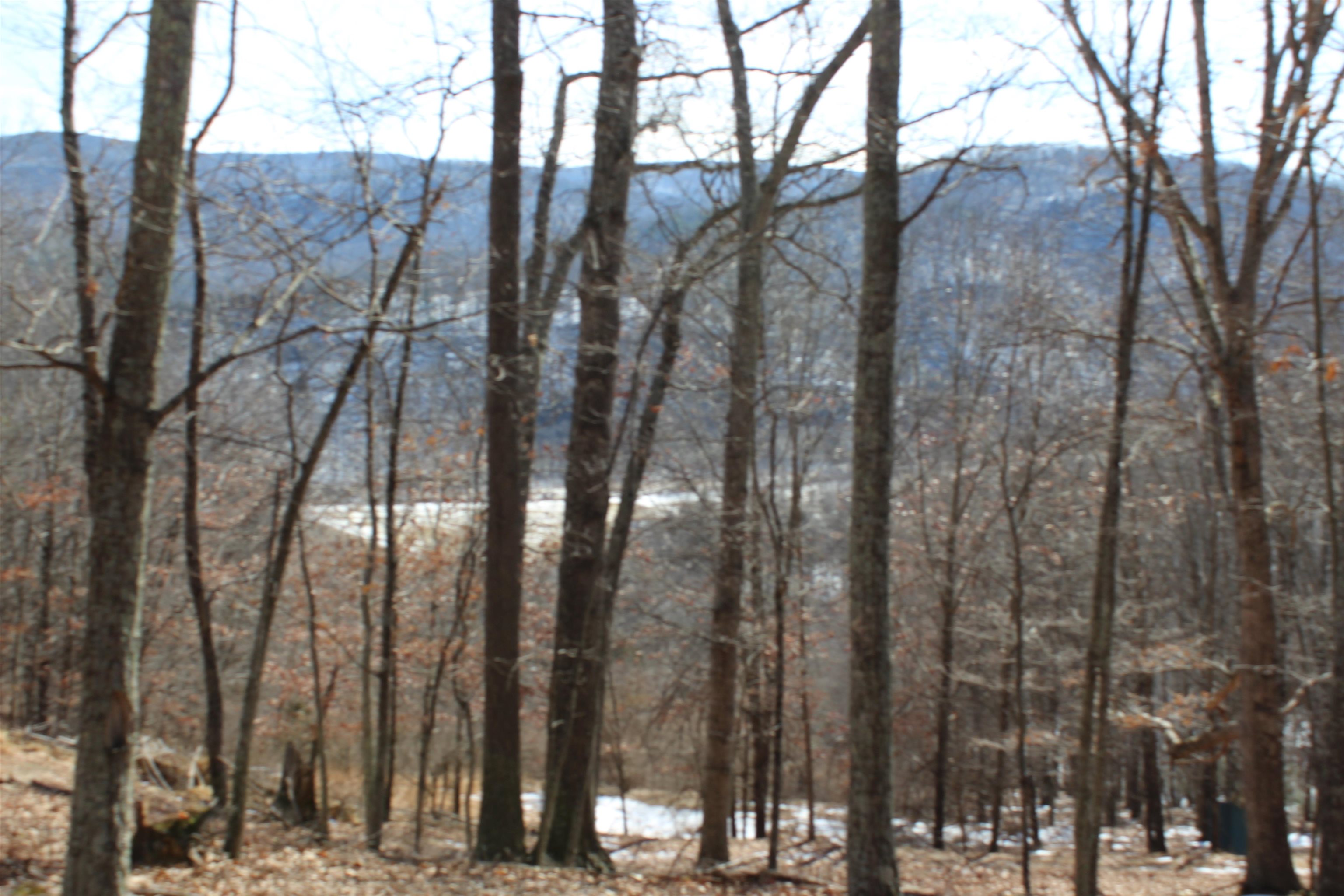 TBD DOGWOOD DR, MONTEREY, Virginia 24465, ,Land,Lot 36 High Valley,TBD DOGWOOD DR,673295 MLS # 673295