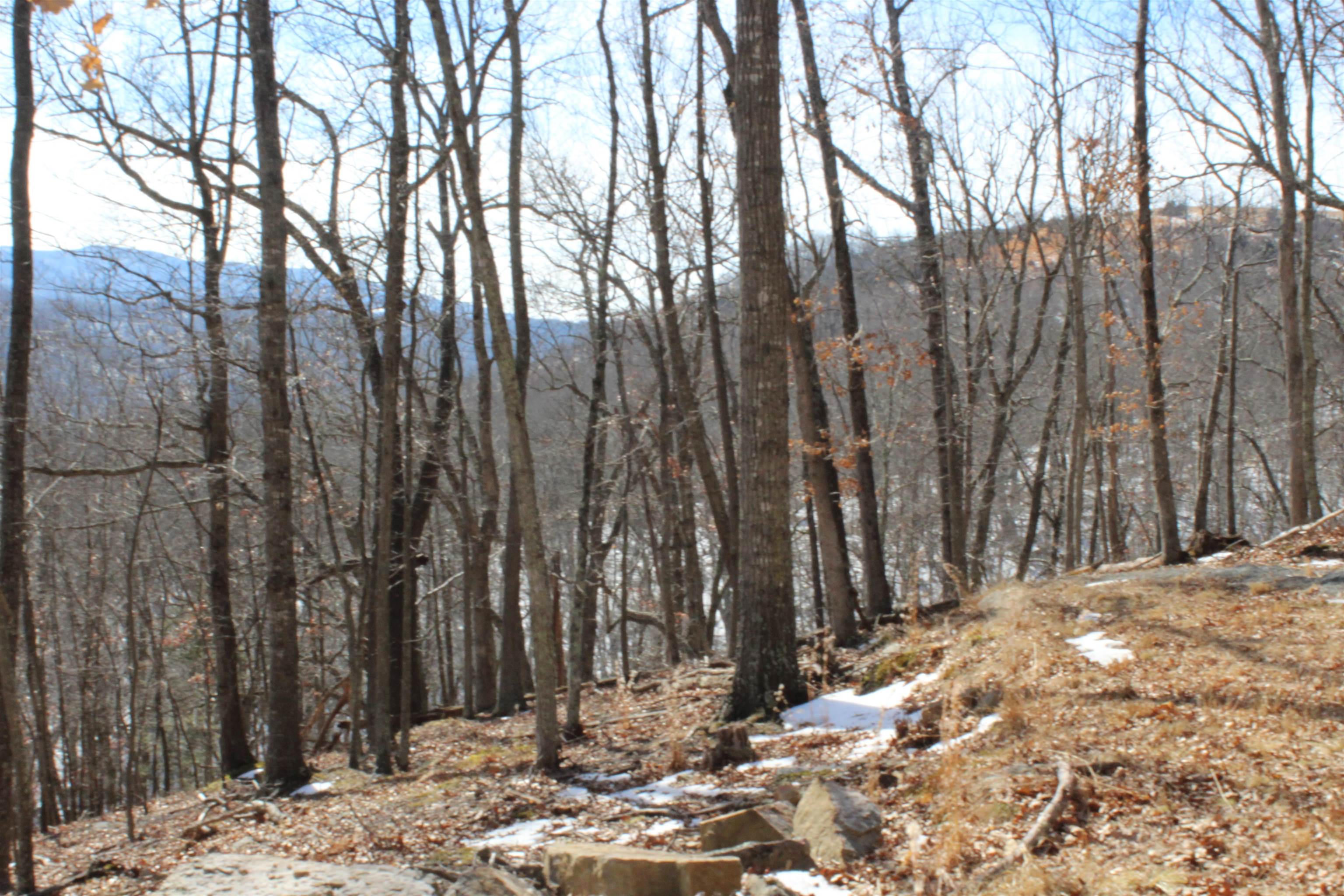 TBD DOGWOOD DR, MONTEREY, Virginia 24465, ,Land,Lot 36 High Valley,TBD DOGWOOD DR,673295 MLS # 673295