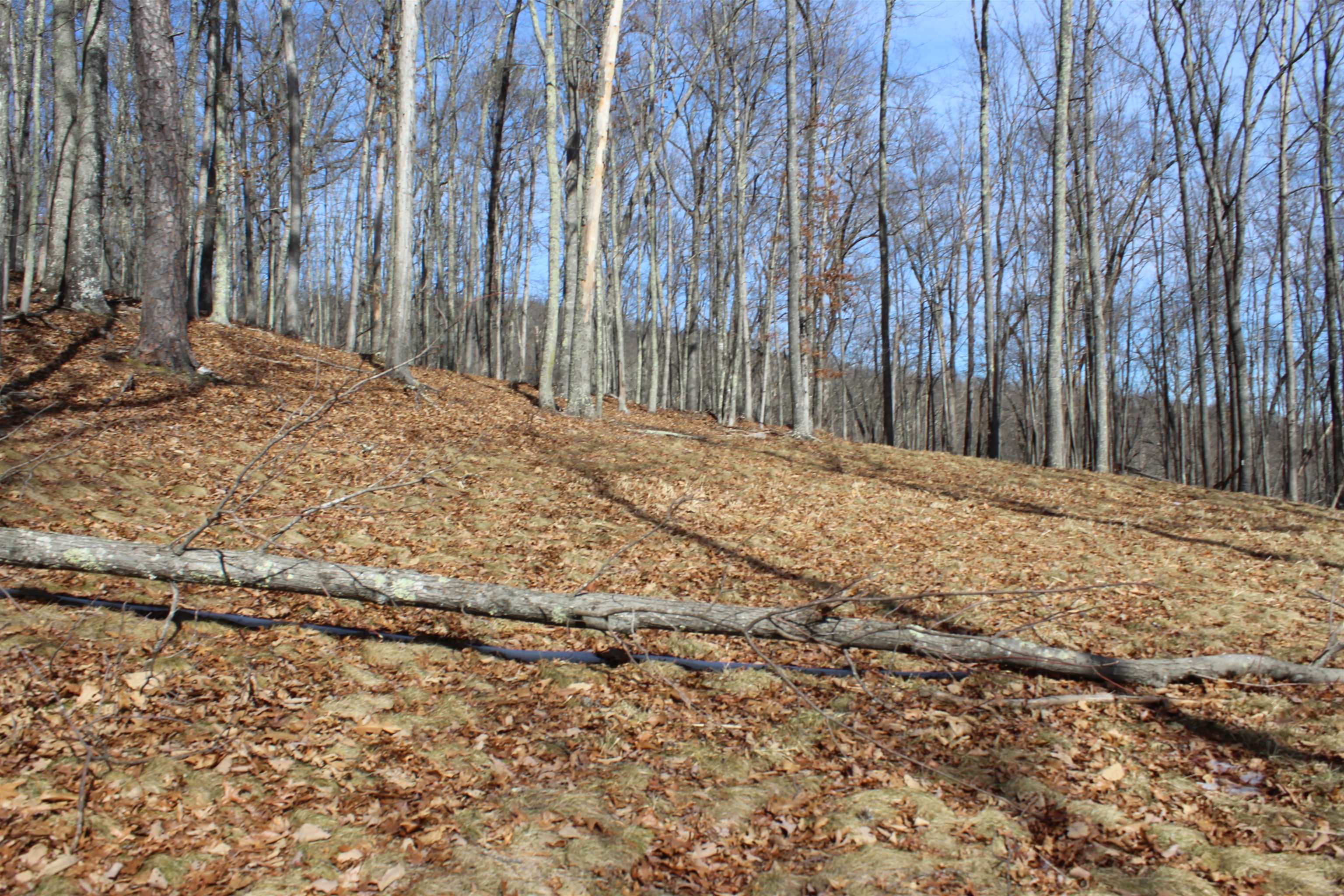 TBD DOGWOOD DR, MONTEREY, Virginia 24465, ,Land,Lot 36 High Valley,TBD DOGWOOD DR,673295 MLS # 673295