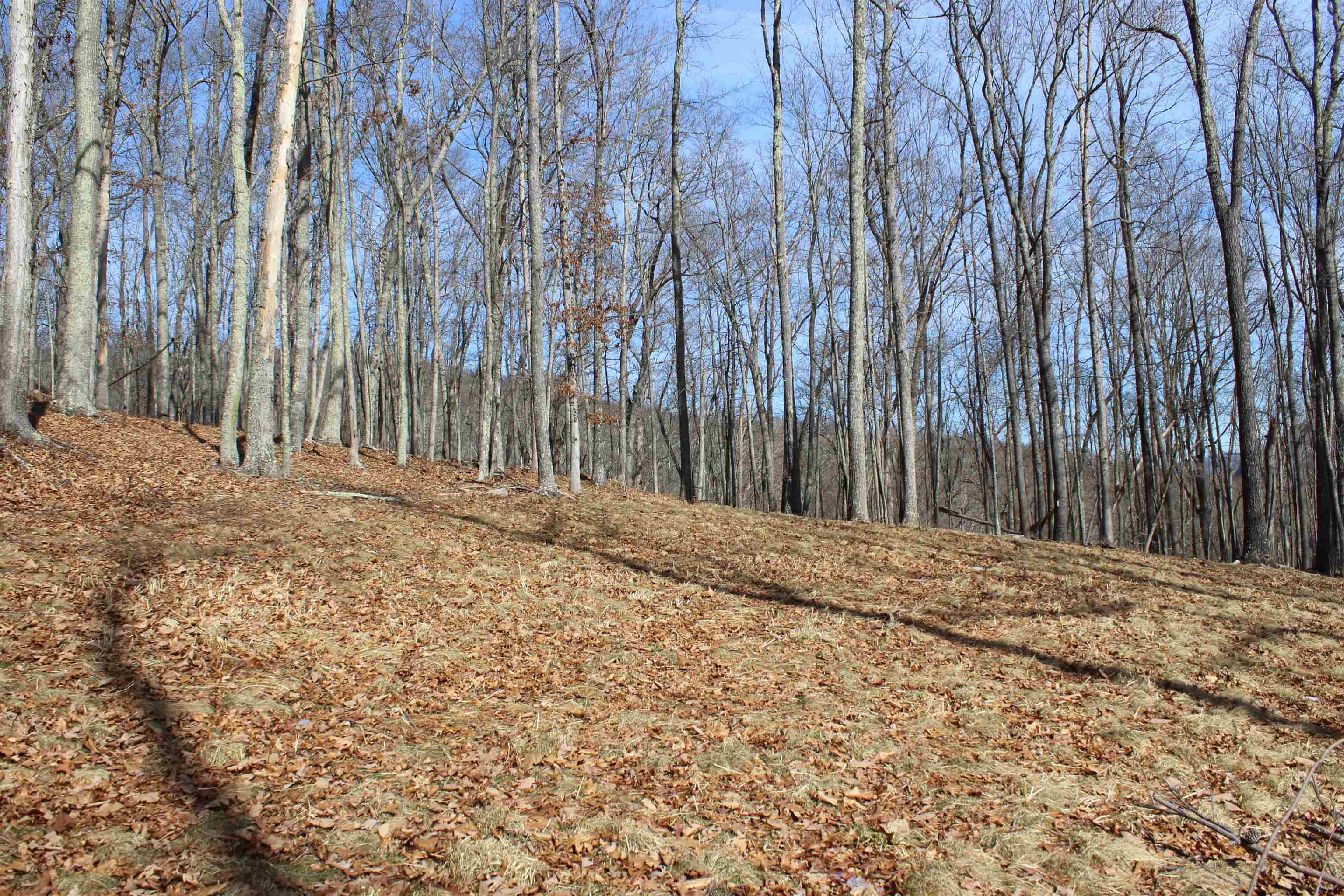 TBD DOGWOOD DR, MONTEREY, Virginia 24465, ,Land,Lot 36 High Valley,TBD DOGWOOD DR,673295 MLS # 673295