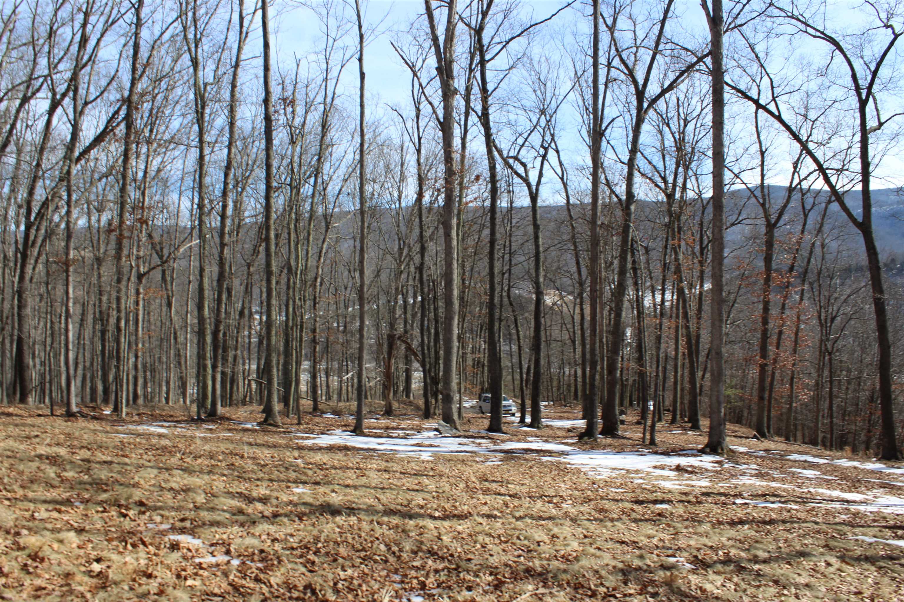 TBD DOGWOOD DR, MONTEREY, Virginia 24465, ,Land,Lot 36 High Valley,TBD DOGWOOD DR,673295 MLS # 673295
