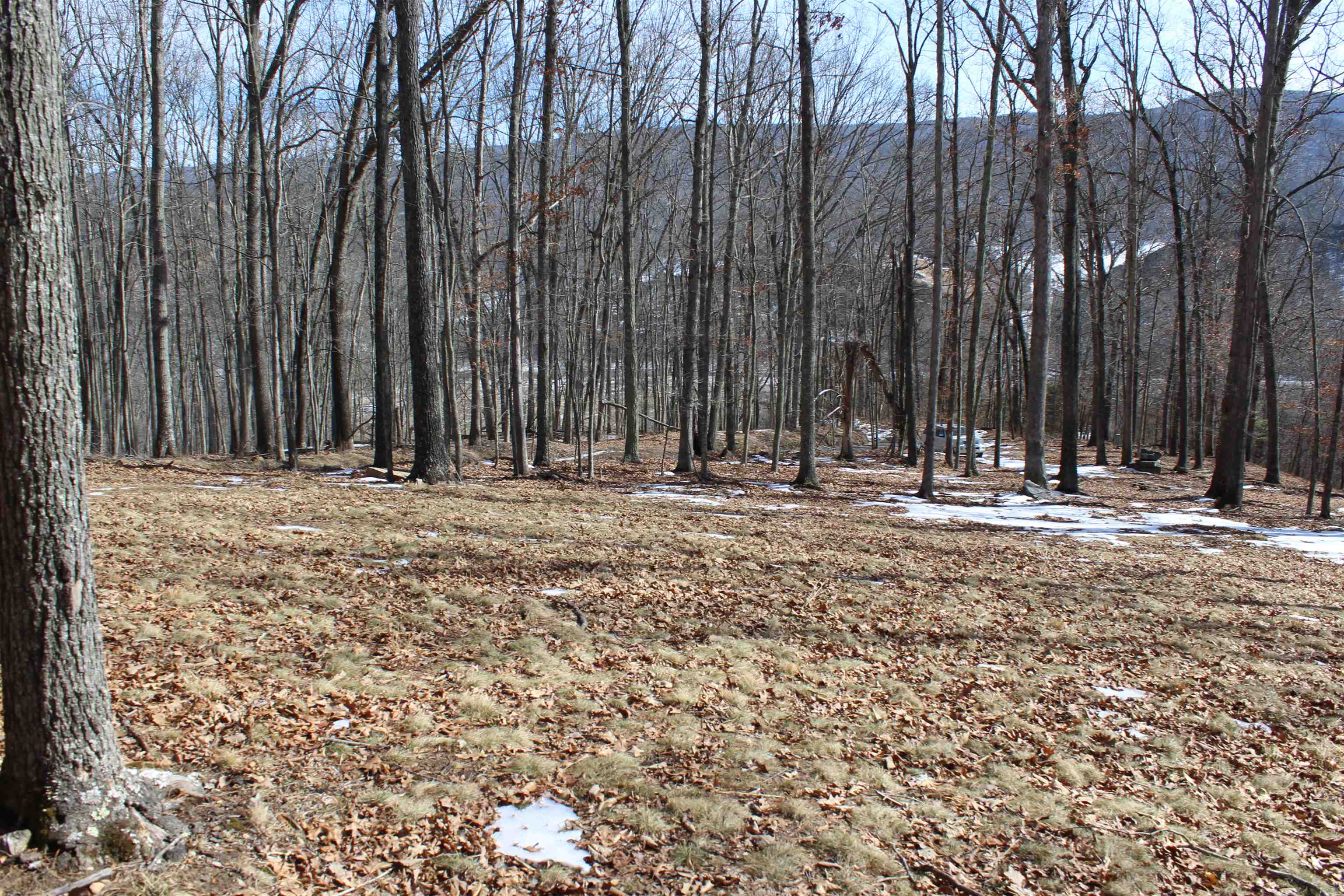TBD DOGWOOD DR, MONTEREY, Virginia 24465, ,Land,Lot 36 High Valley,TBD DOGWOOD DR,673295 MLS # 673295