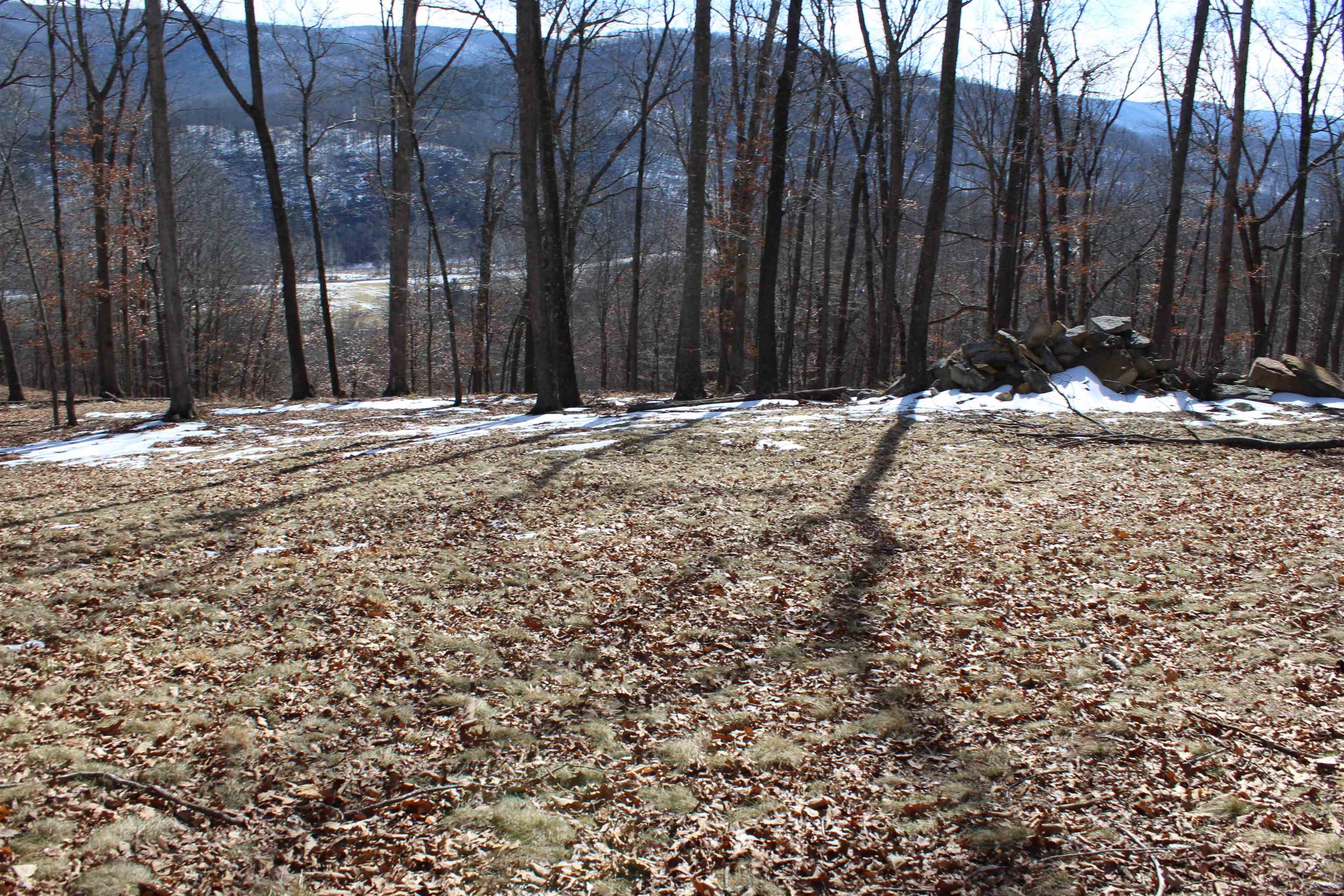 TBD DOGWOOD DR, MONTEREY, Virginia 24465, ,Land,Lot 36 High Valley,TBD DOGWOOD DR,673295 MLS # 673295