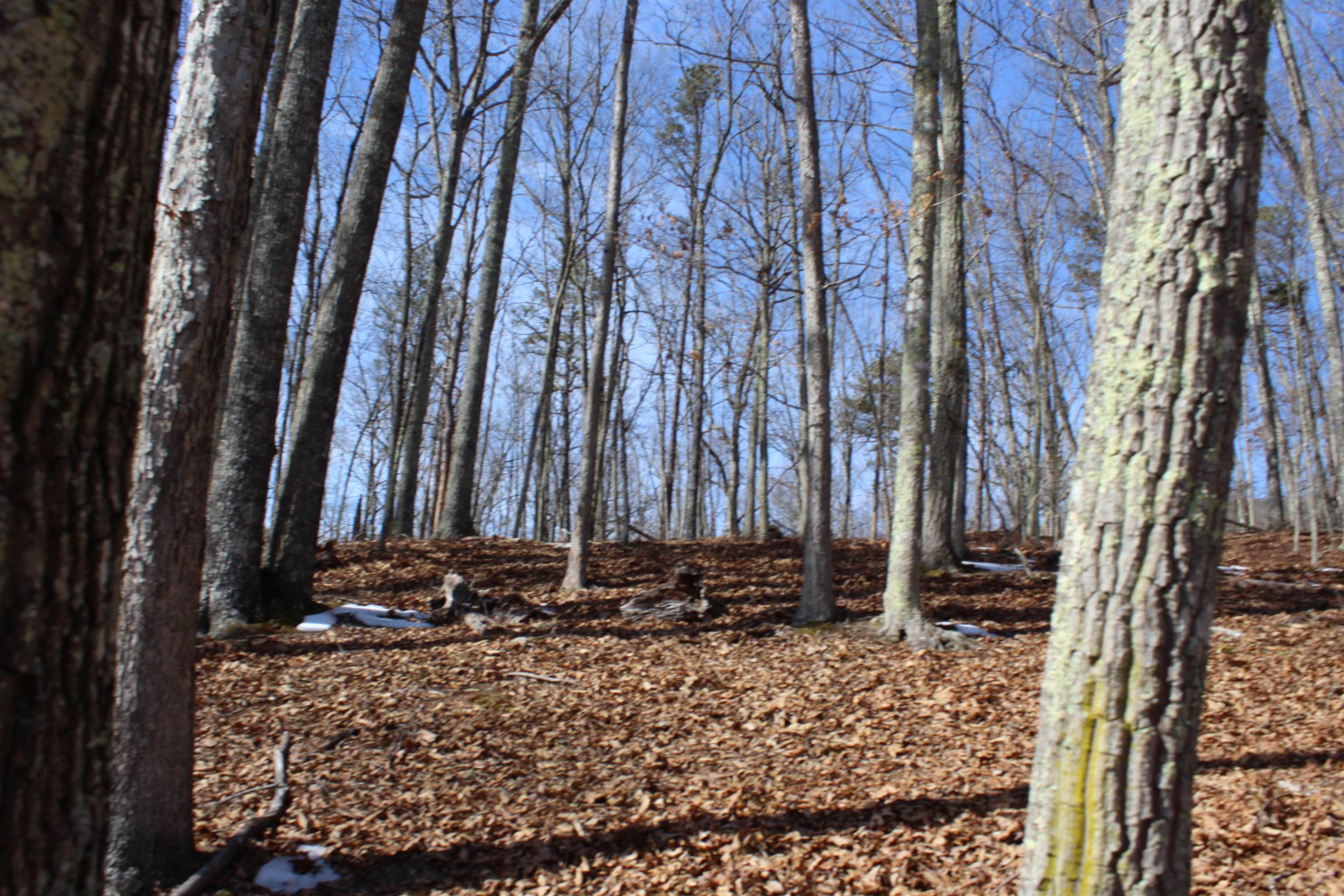 TBD DOGWOOD DR, MONTEREY, Virginia 24465, ,Land,Lot 36 High Valley,TBD DOGWOOD DR,673295 MLS # 673295