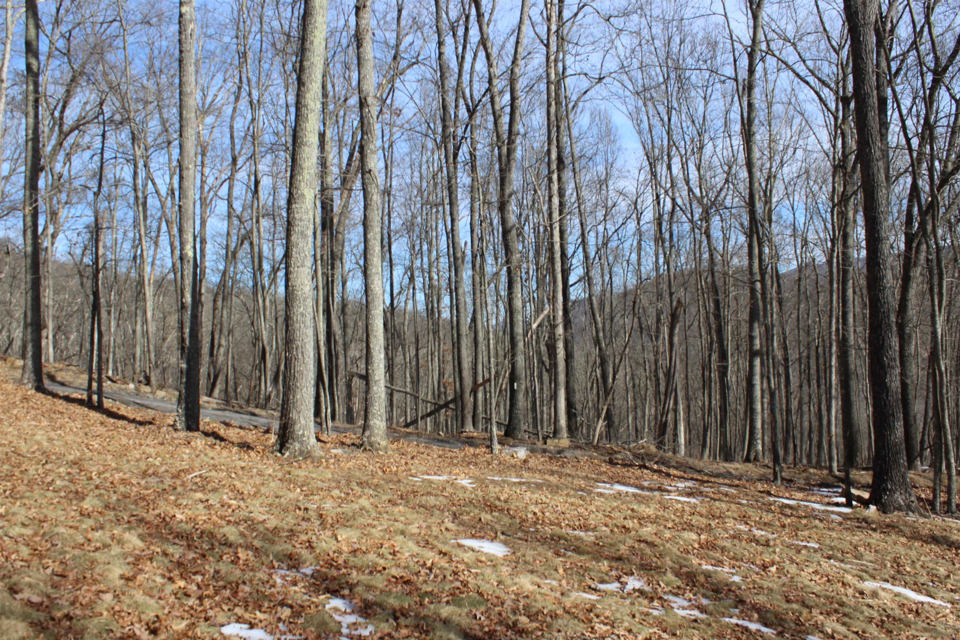 TBD DOGWOOD DR, MONTEREY, Virginia 24465, ,Land,Lot 36 High Valley,TBD DOGWOOD DR,673295 MLS # 673295