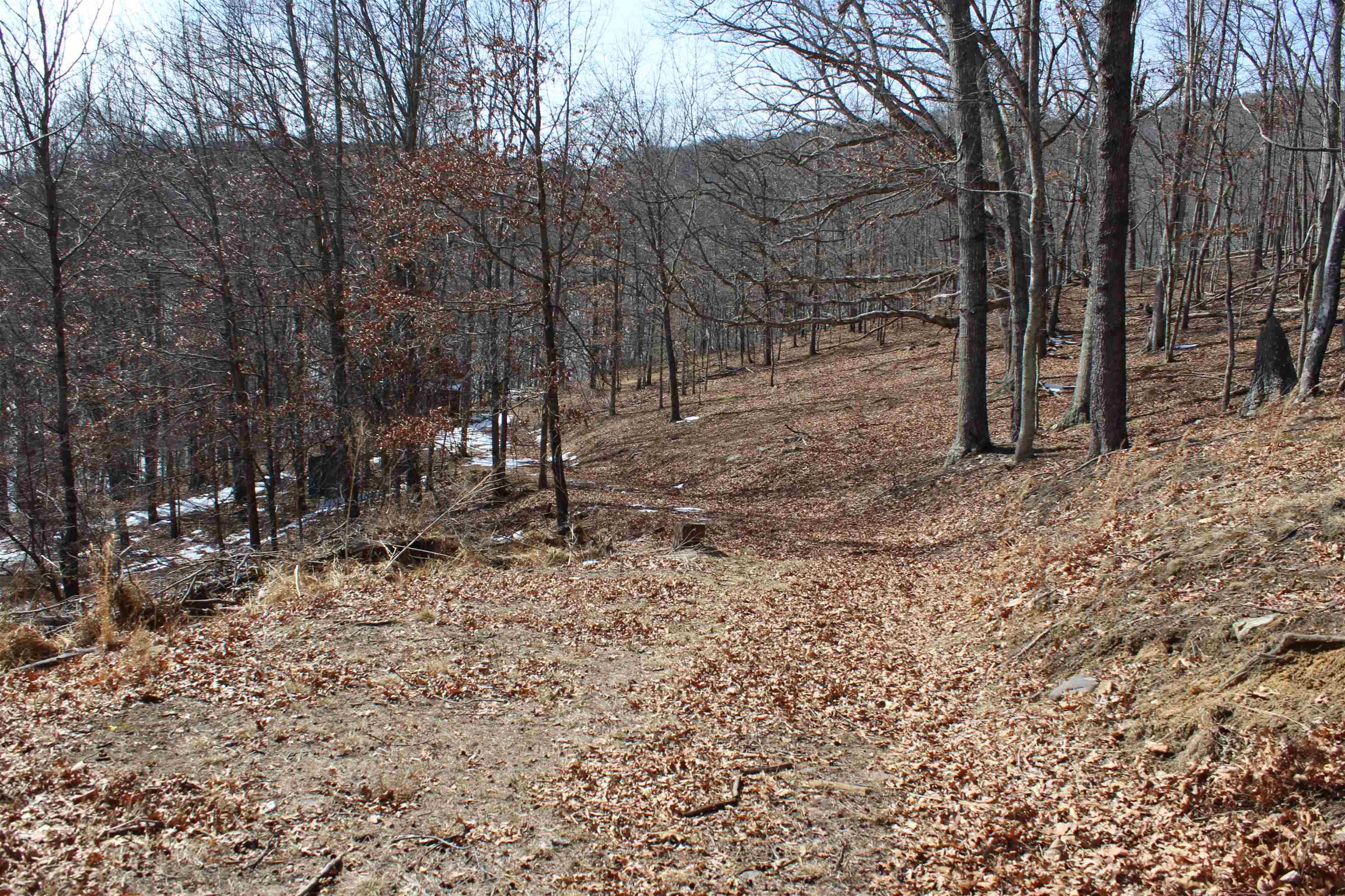 TBD DOGWOOD DR, MONTEREY, Virginia 24465, ,Land,Lot 36 High Valley,TBD DOGWOOD DR,673295 MLS # 673295