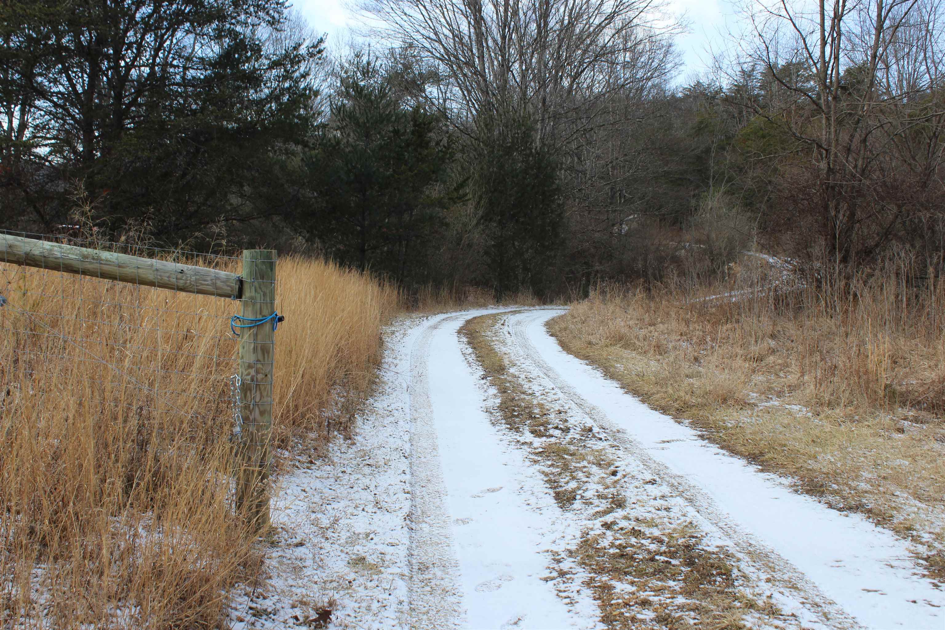 TBD DOGWOOD DR, MONTEREY, Virginia 24465, ,Land,Lot 36 High Valley,TBD DOGWOOD DR,673295 MLS # 673295