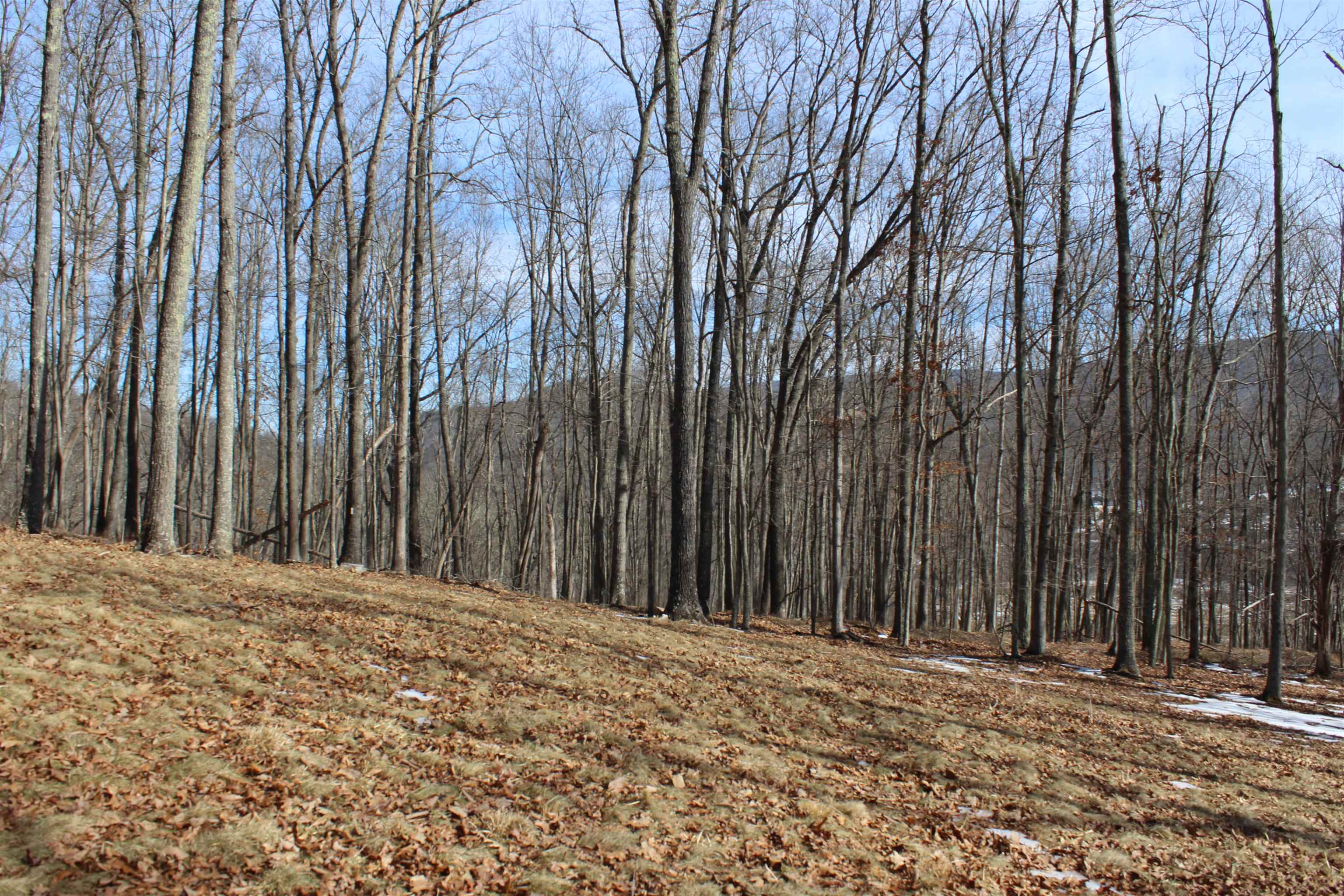 TBD DOGWOOD DR, MONTEREY, Virginia 24465, ,Land,Lot 36 High Valley,TBD DOGWOOD DR,673295 MLS # 673295