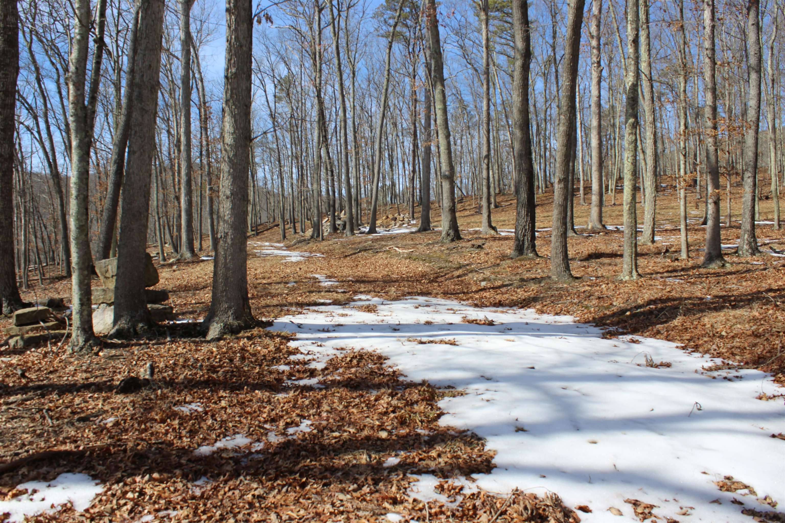 TBD DOGWOOD DR, MONTEREY, Virginia 24465, ,Land,Lot 36 High Valley,TBD DOGWOOD DR,673295 MLS # 673295