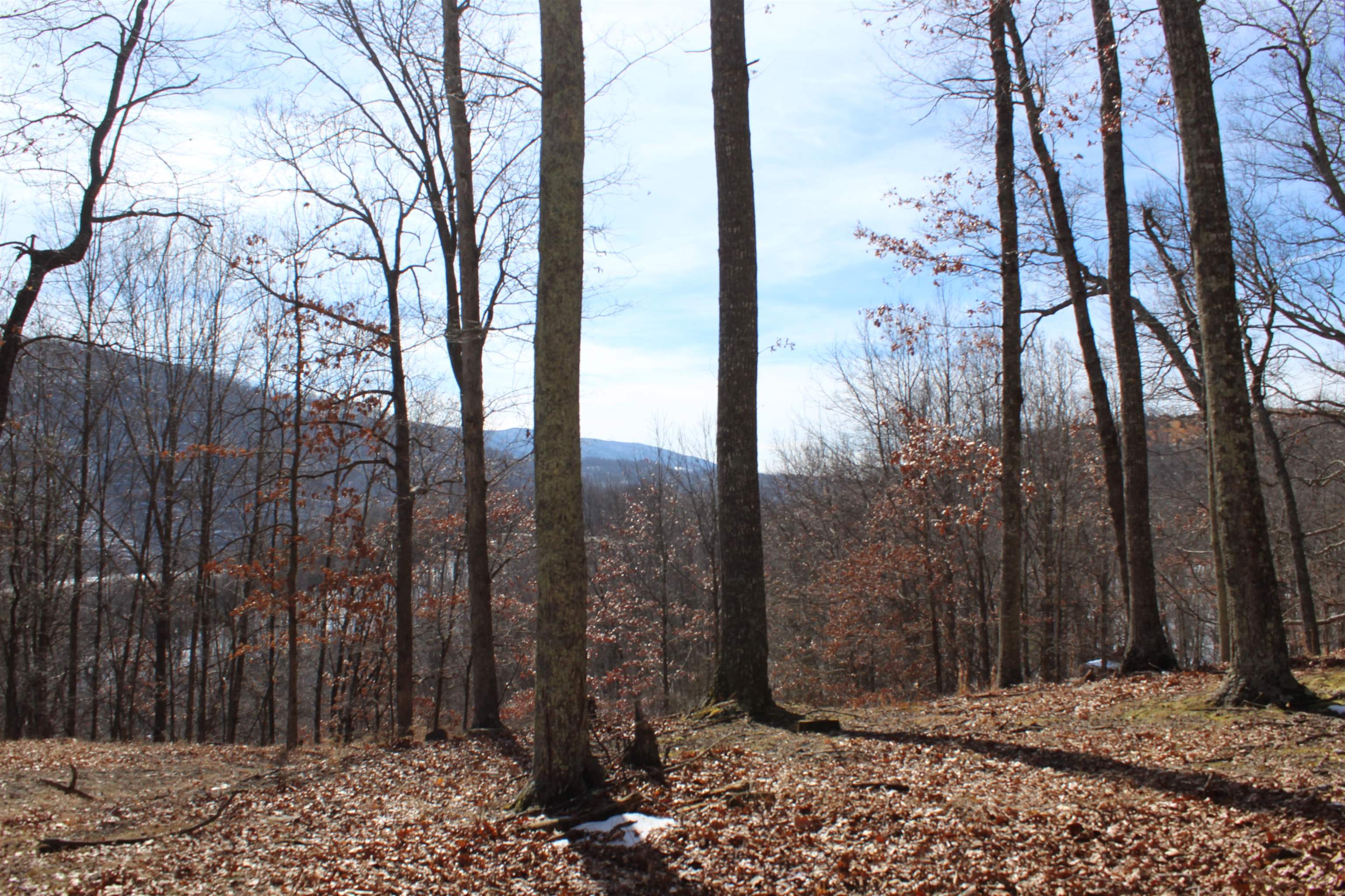 TBD DOGWOOD DR, MONTEREY, Virginia 24465, ,Land,Lot 36 High Valley,TBD DOGWOOD DR,673295 MLS # 673295