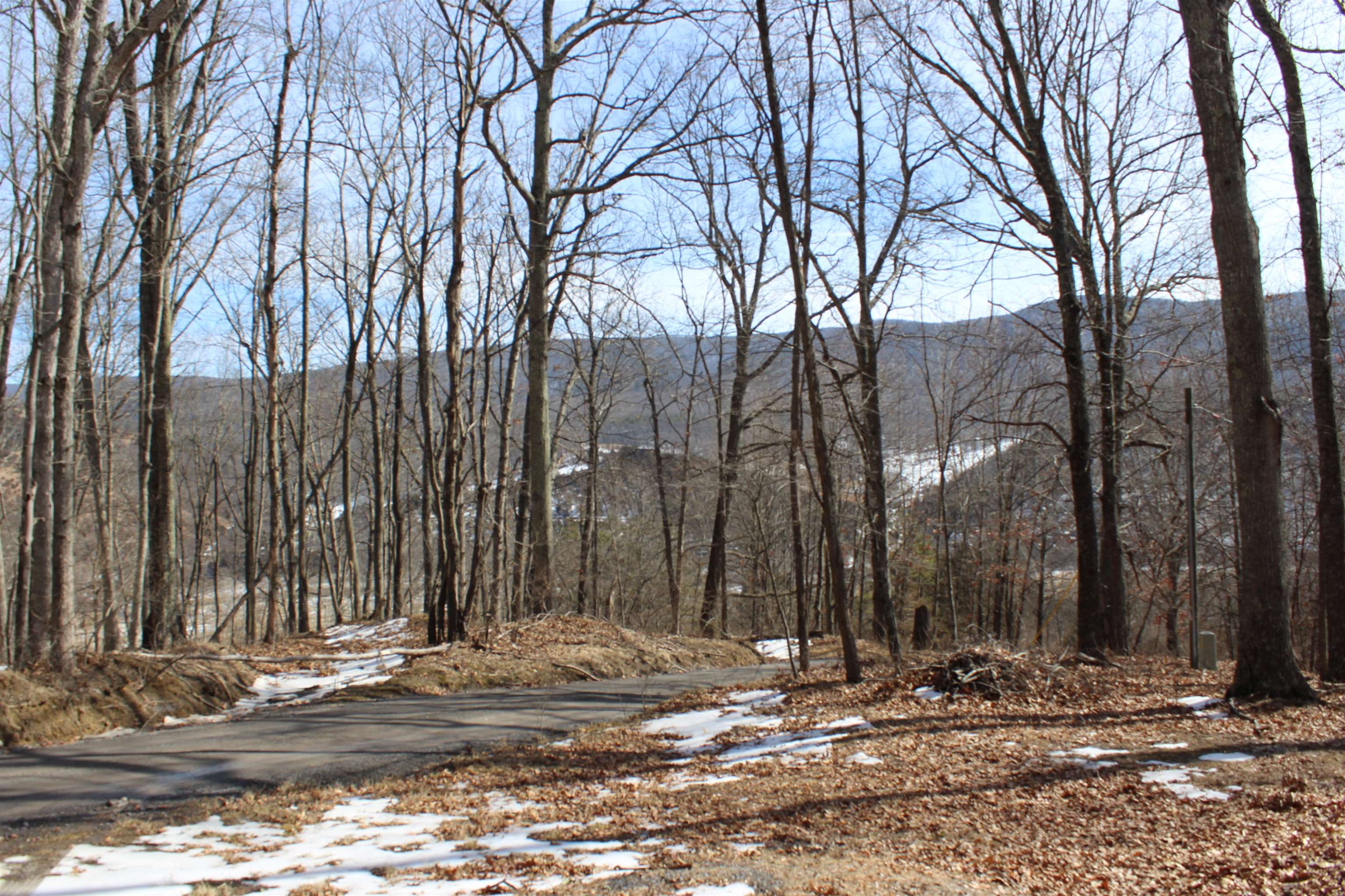 TBD DOGWOOD DR, MONTEREY, Virginia 24465, ,Land,Lot 36 High Valley,TBD DOGWOOD DR,673295 MLS # 673295