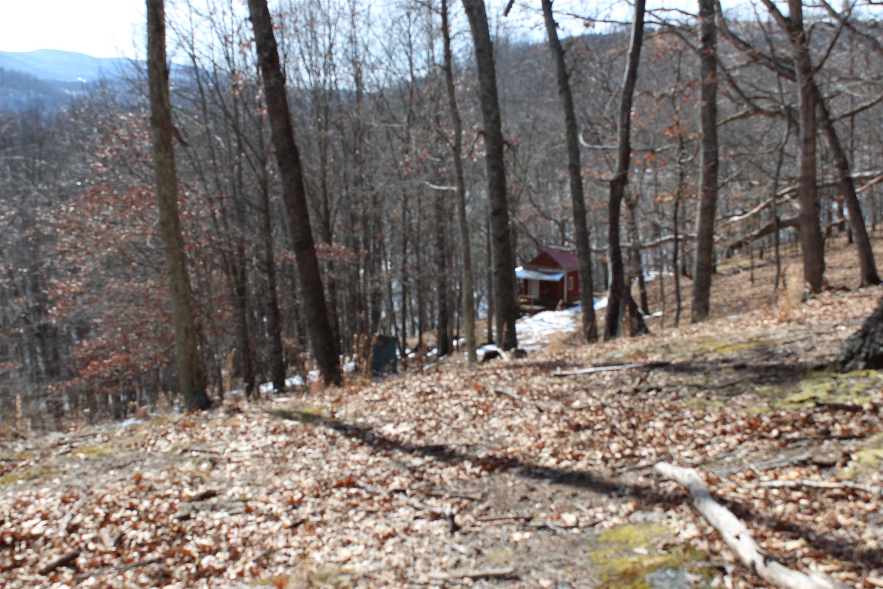 TBD DOGWOOD DR, MONTEREY, Virginia 24465, ,Land,Lot 36 High Valley,TBD DOGWOOD DR,673295 MLS # 673295