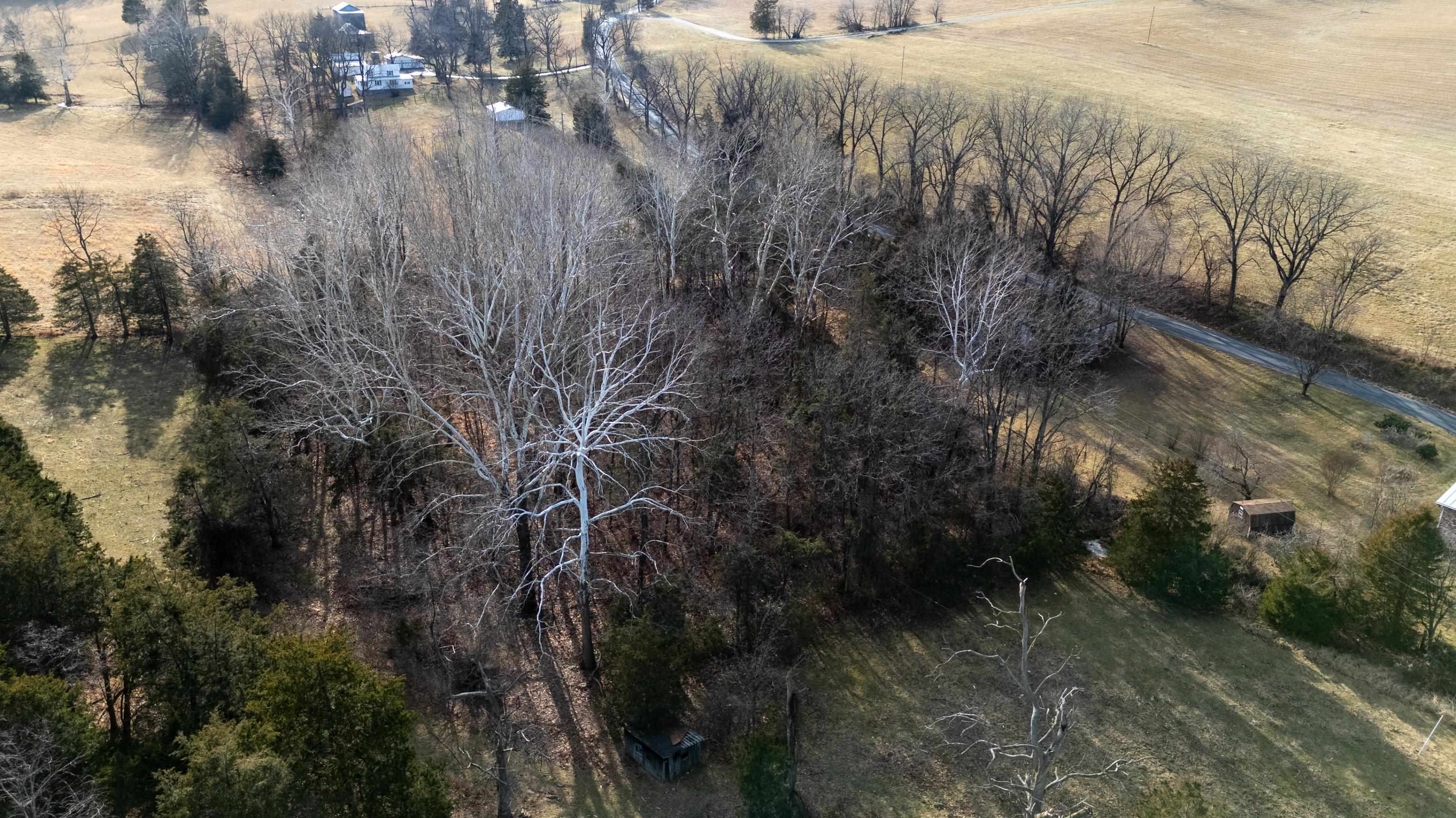 TBD MOUNTAIN VALLEY RD, KEEZLETOWN, Virginia 22832, ,Land,TBD MOUNTAIN VALLEY RD,673304 MLS # 673304