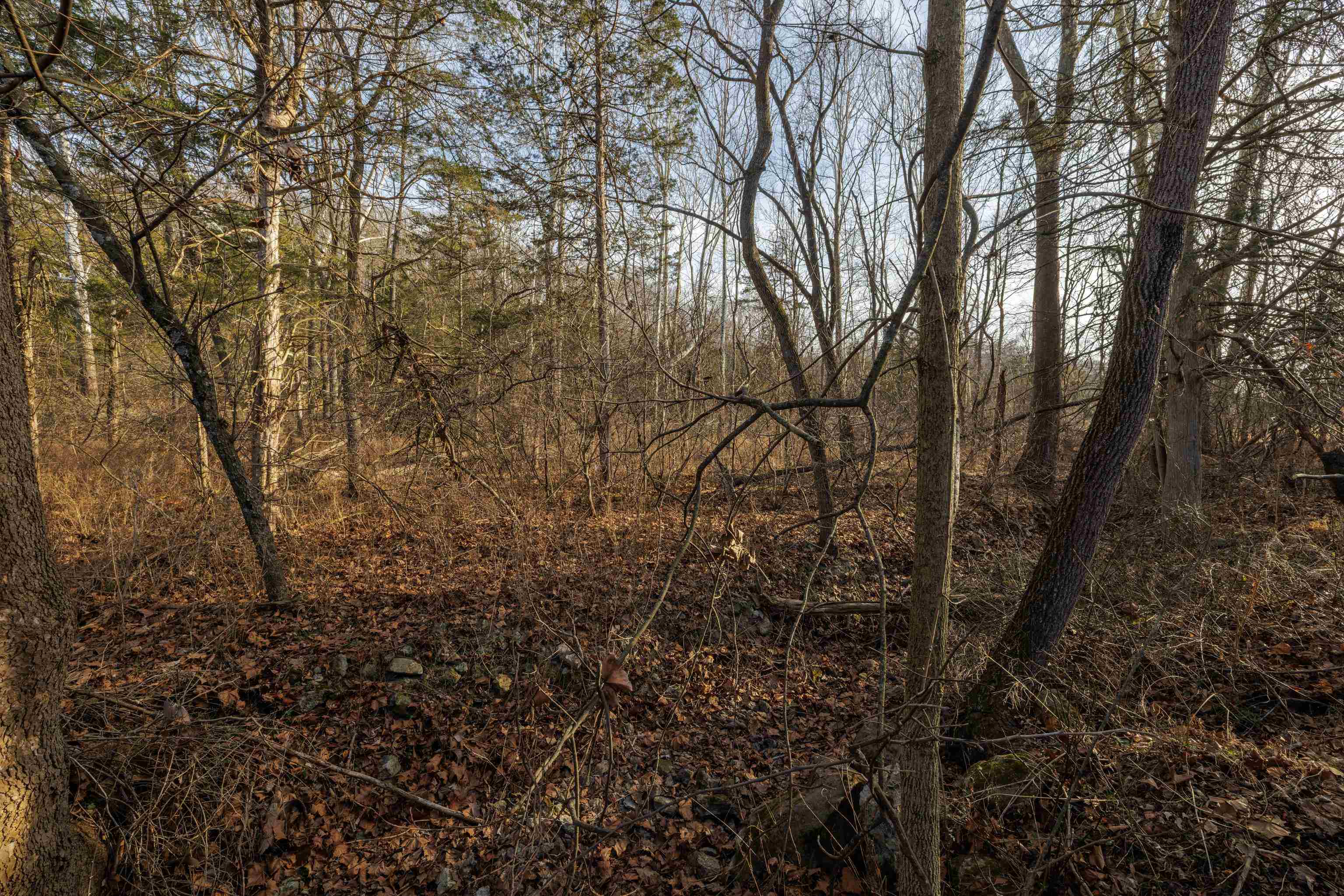 TBD MOUNTAIN VALLEY RD, KEEZLETOWN, Virginia 22832, ,Land,TBD MOUNTAIN VALLEY RD,673304 MLS # 673304