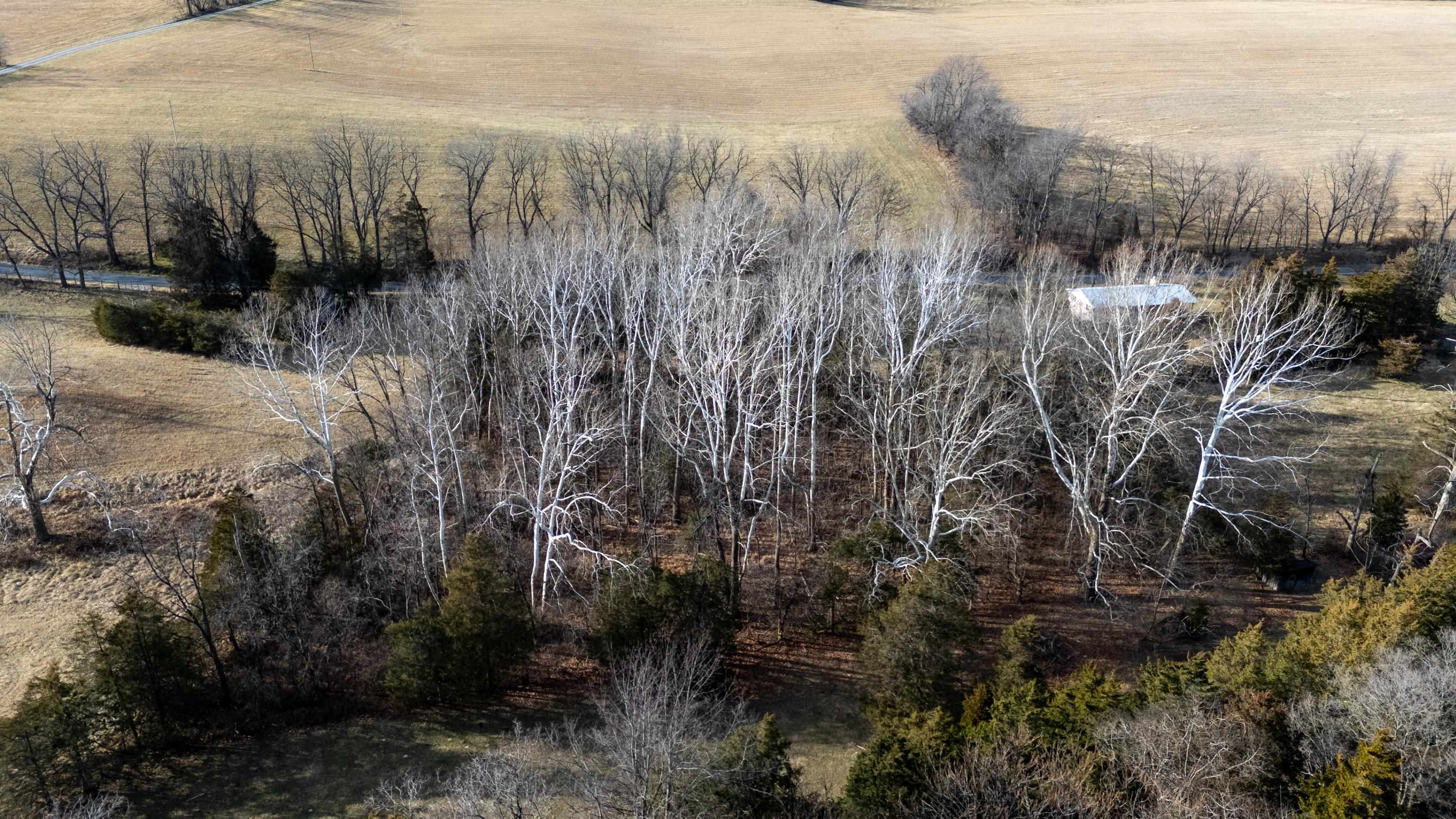 TBD MOUNTAIN VALLEY RD, KEEZLETOWN, Virginia 22832, ,Land,TBD MOUNTAIN VALLEY RD,673304 MLS # 673304