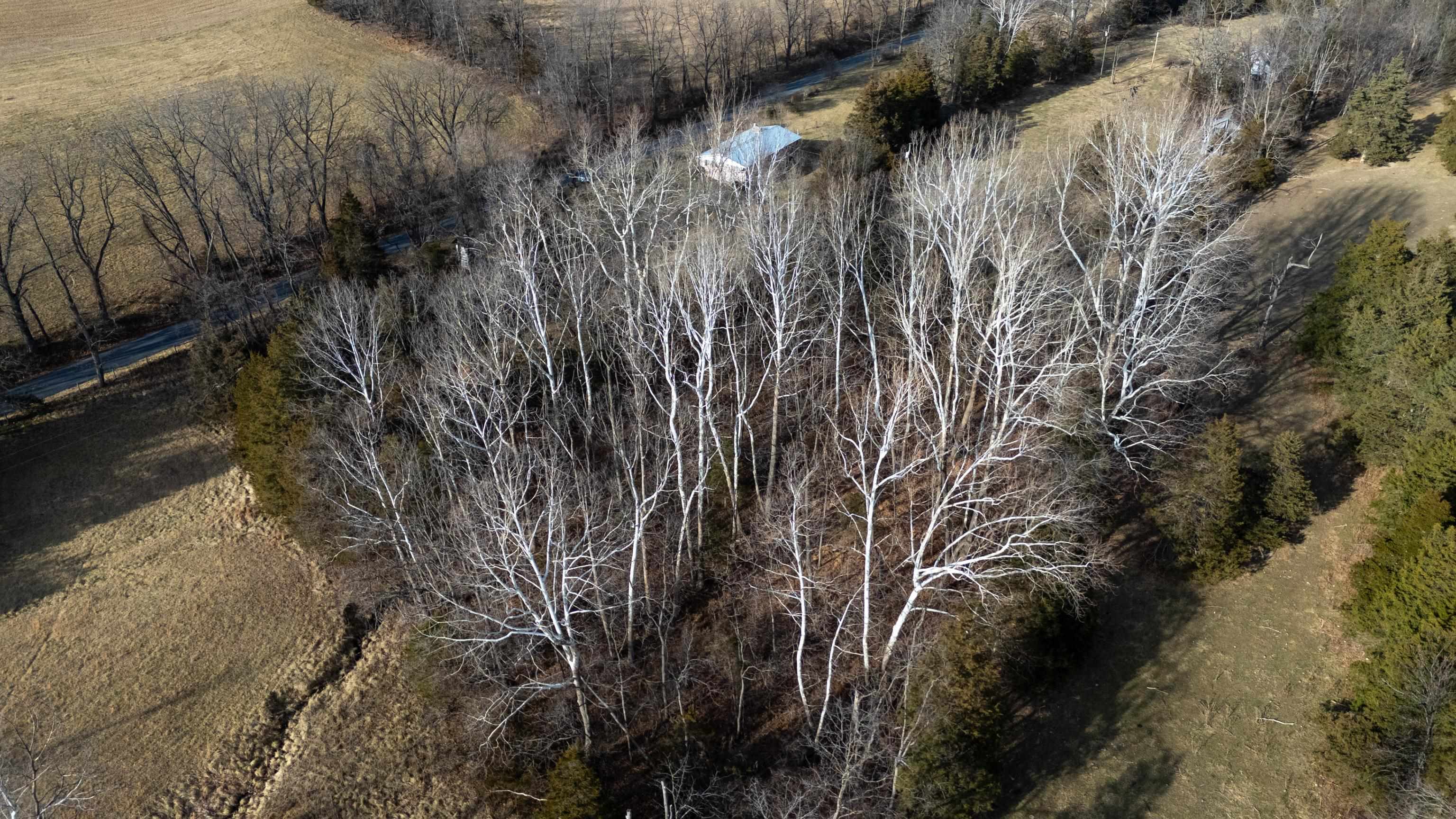 TBD MOUNTAIN VALLEY RD, KEEZLETOWN, Virginia 22832, ,Land,TBD MOUNTAIN VALLEY RD,673304 MLS # 673304