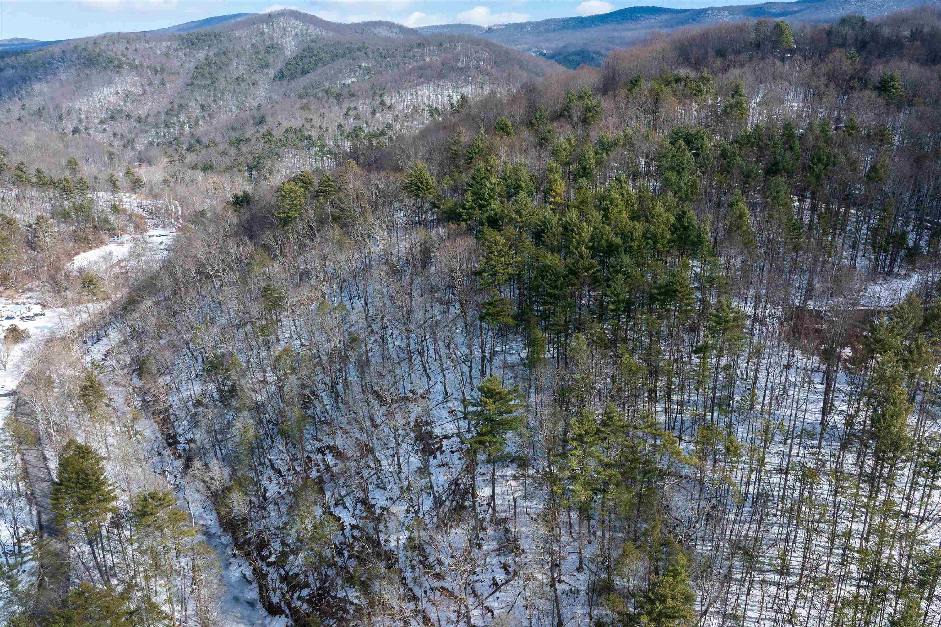 Lots 8, 9, 10, 11 OVERLOOK MOUNTAIN RD, ELKTON, Virginia 22827, ,Land,Lots 8, 9,10,11 OVERLOOK MOUNTAIN RD,673307 MLS # 673307