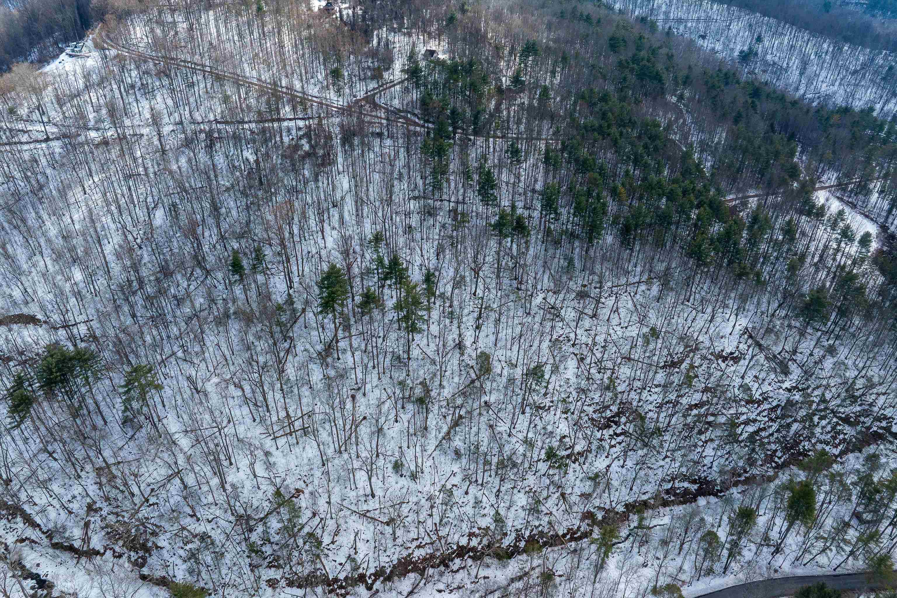 Lot 9 OVERLOOK MOUNTAIN RD, ELKTON, Virginia 22827, ,Land,Lot 9 OVERLOOK MOUNTAIN RD,673310 MLS # 673310 Lot 9 OVERLOOK MOUNTAIN RD, ELKTON, Virginia 22827, ,Land,Lot 9 OVERLOOK MOUNTAIN RD,673310 MLS # 673310