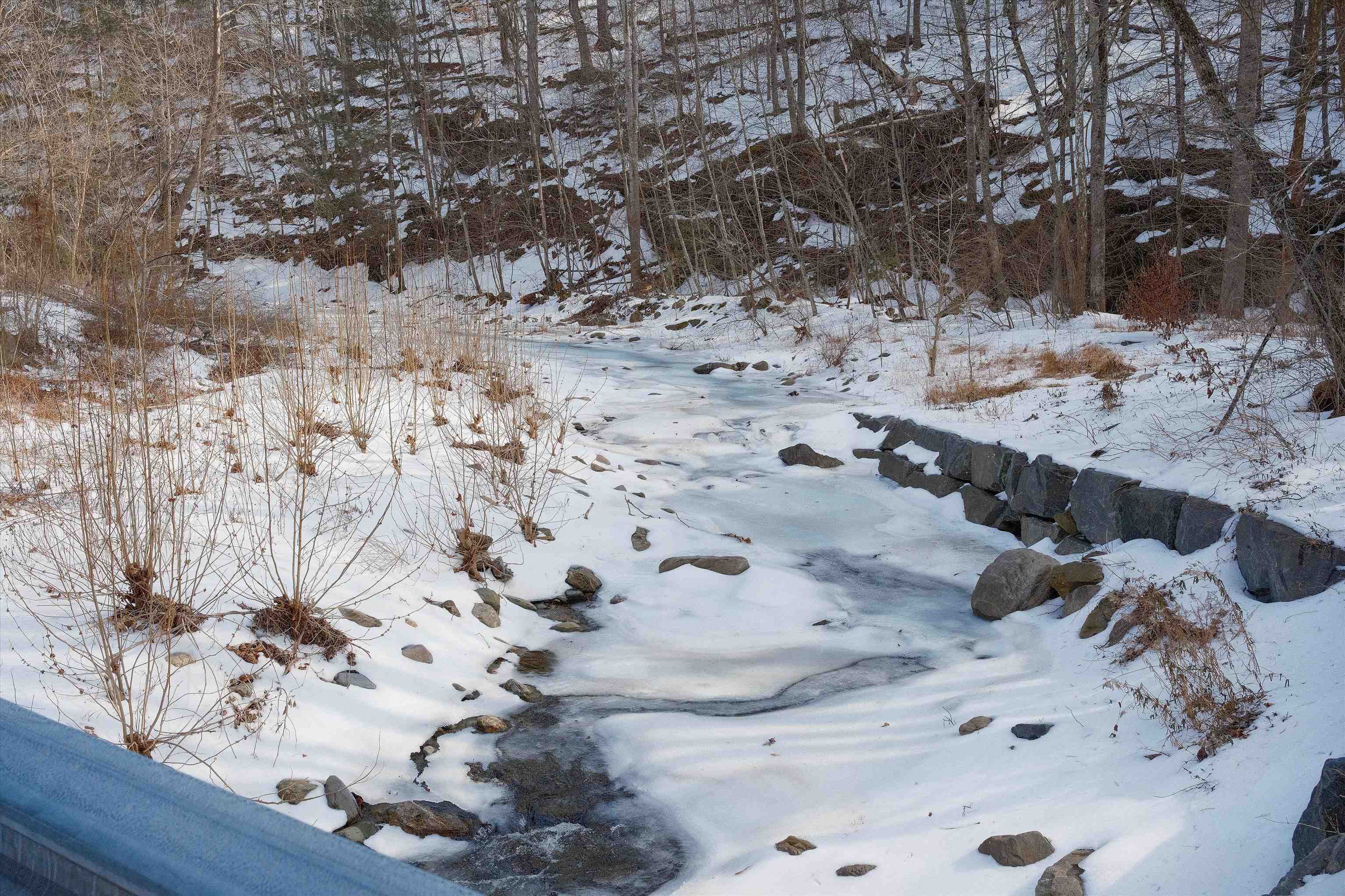 Lot 9 OVERLOOK MOUNTAIN RD, ELKTON, Virginia 22827, ,Land,Lot 9 OVERLOOK MOUNTAIN RD,673310 MLS # 673310 Lot 9 OVERLOOK MOUNTAIN RD, ELKTON, Virginia 22827, ,Land,Lot 9 OVERLOOK MOUNTAIN RD,673310 MLS # 673310