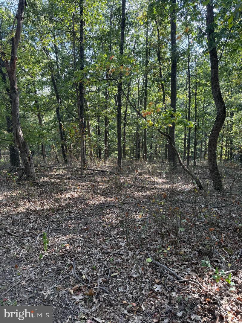 LIGHT ROAD, WINCHESTER, Virginia 22603, ,Land,For sale,LIGHT ROAD,VAFV2034084 MLS # VAFV2034084