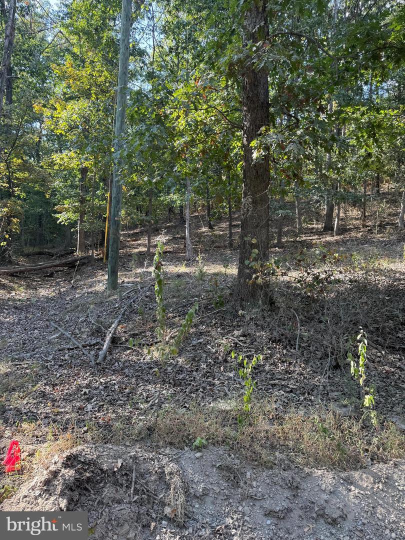 LIGHT ROAD, WINCHESTER, Virginia 22603, ,Land,For sale,LIGHT ROAD,VAFV2034084 MLS # VAFV2034084