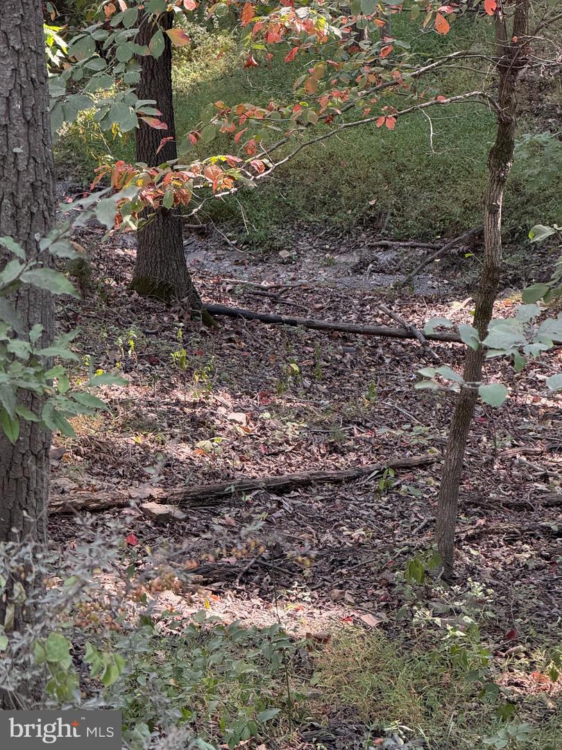 LIGHT ROAD, WINCHESTER, Virginia 22603, ,Land,For sale,LIGHT ROAD,VAFV2034084 MLS # VAFV2034084