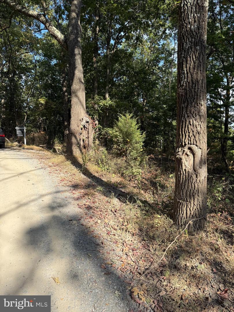 LIGHT ROAD, WINCHESTER, Virginia 22603, ,Land,For sale,LIGHT ROAD,VAFV2034084 MLS # VAFV2034084