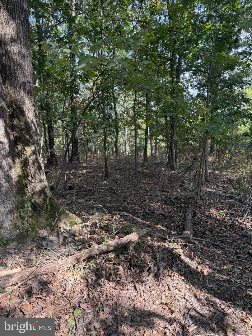 LIGHT ROAD, WINCHESTER, Virginia 22603, ,Land,For sale,LIGHT ROAD,VAFV2034084 MLS # VAFV2034084