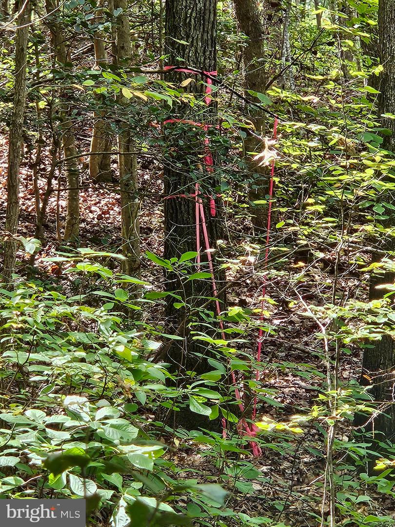 00 OFF OF LONG BRANCH RD, WOODFORD, Virginia 22580, ,Land,For sale,00 OFF OF LONG BRANCH RD,VACV2008996 MLS # VACV2008996