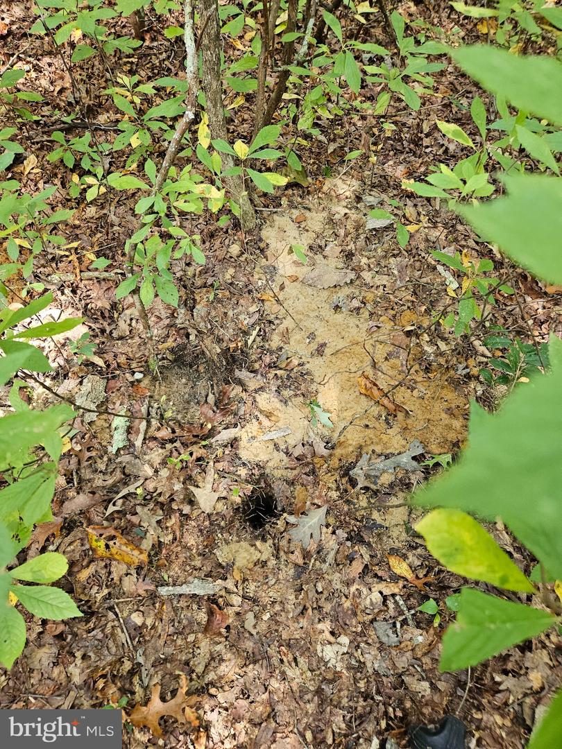 00 OFF OF LONG BRANCH RD, WOODFORD, Virginia 22580, ,Land,For sale,00 OFF OF LONG BRANCH RD,VACV2008996 MLS # VACV2008996