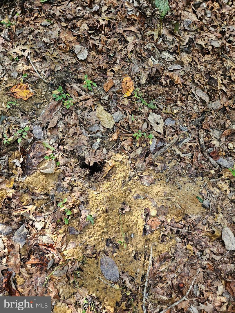 00 OFF OF LONG BRANCH RD, WOODFORD, Virginia 22580, ,Land,For sale,00 OFF OF LONG BRANCH RD,VACV2008996 MLS # VACV2008996