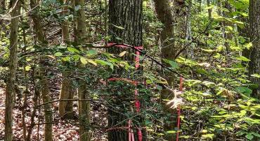 00 OFF OF LONG BRANCH RD, WOODFORD, Virginia 22580, ,Land,For sale,00 OFF OF LONG BRANCH RD,VACV2008996 MLS # VACV2008996