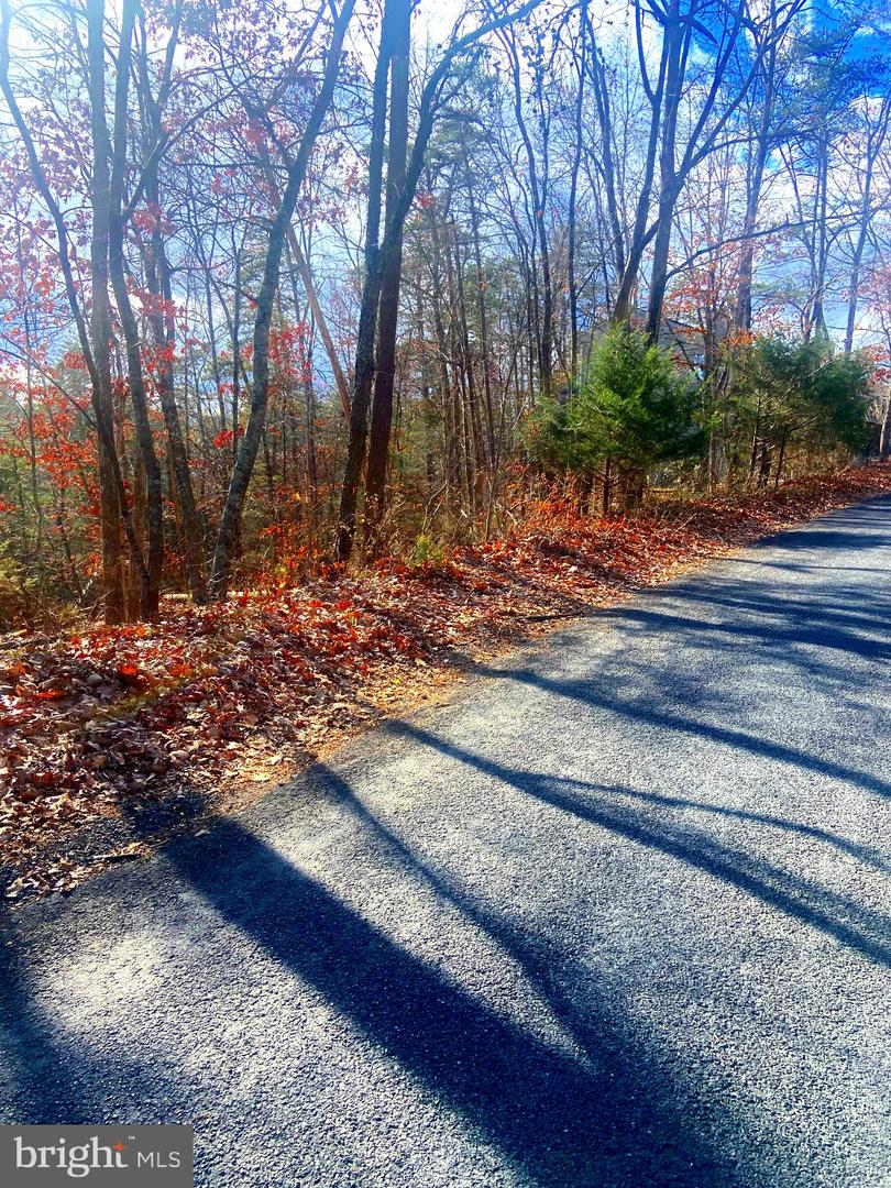 SPITZ LN, BASYE, Virginia 22810, ,Land,For sale,SPITZ LN,VASH2013020 MLS # VASH2013020 SPITZ LN, BASYE, Virginia 22810, ,Land,For sale,SPITZ LN,VASH2013020 MLS # VASH2013020