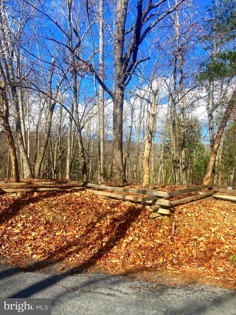 SPITZ LN, BASYE, Virginia 22810, ,Land,For sale,SPITZ LN,VASH2013020 MLS # VASH2013020 SPITZ LN, BASYE, Virginia 22810, ,Land,For sale,SPITZ LN,VASH2013020 MLS # VASH2013020